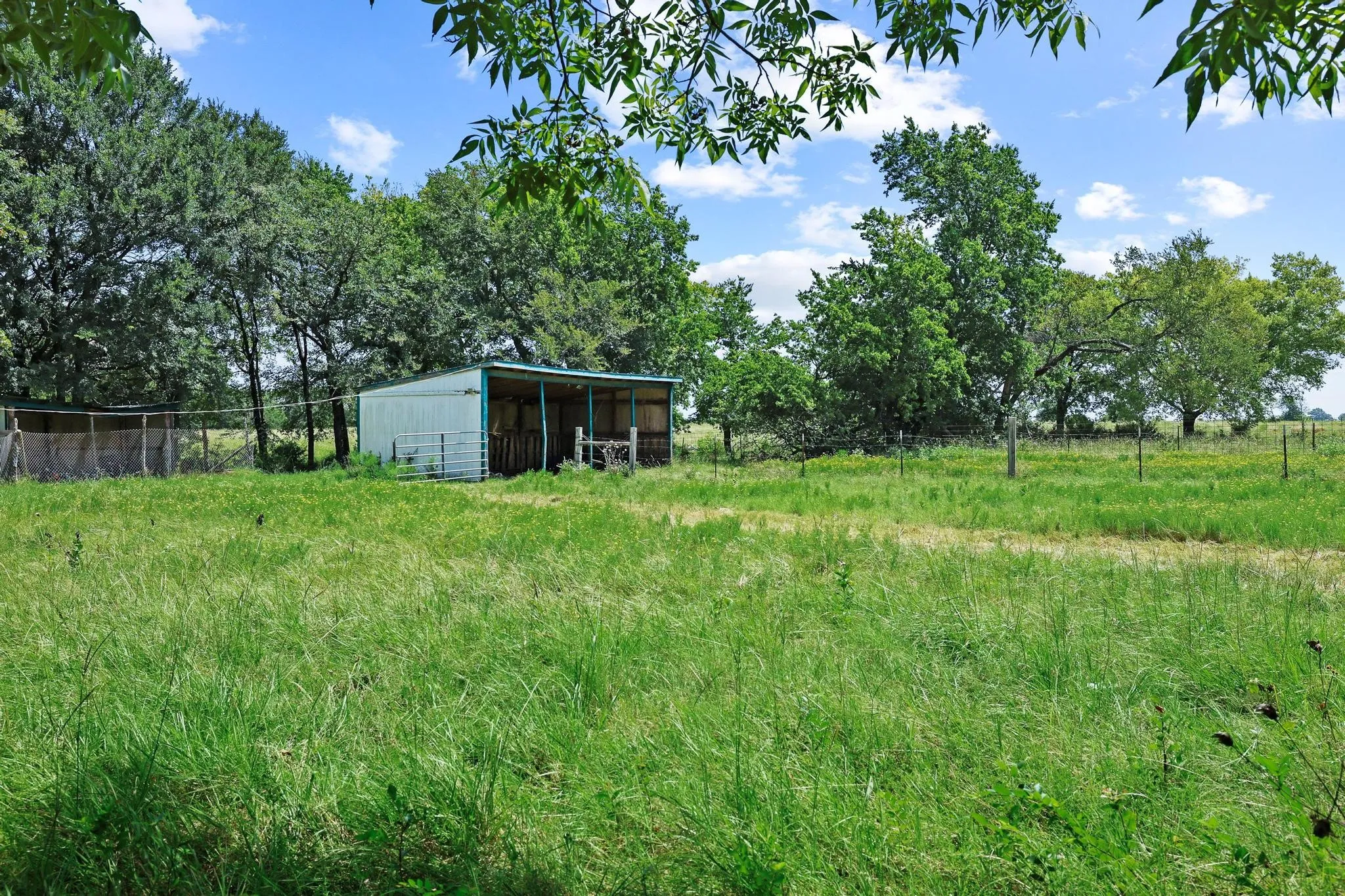 Open-air stall, surrounded by mature trees and perimeter fencing