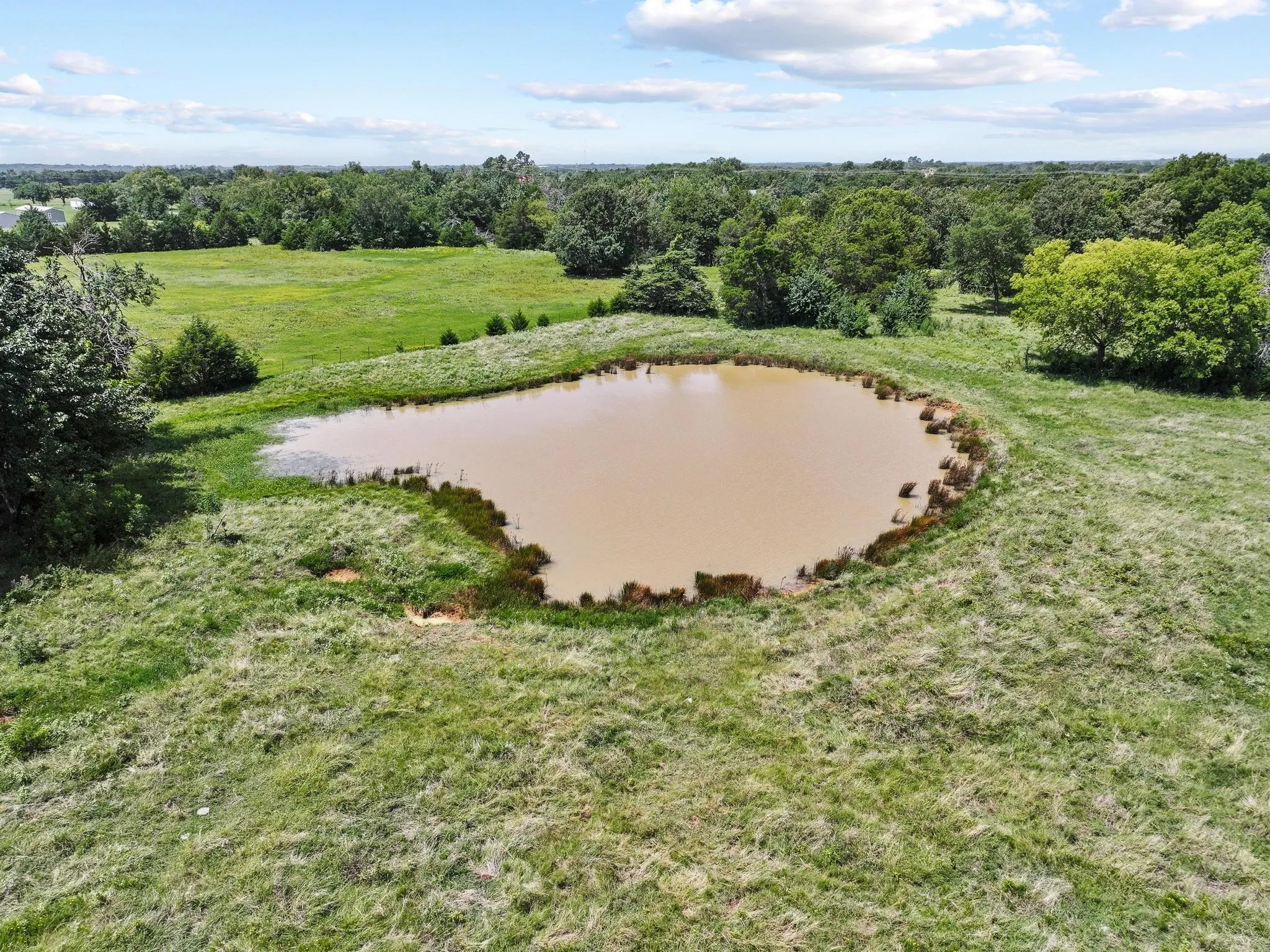 Pond feature within a grassy expanse, surrounded by mature trees and natural vegetation