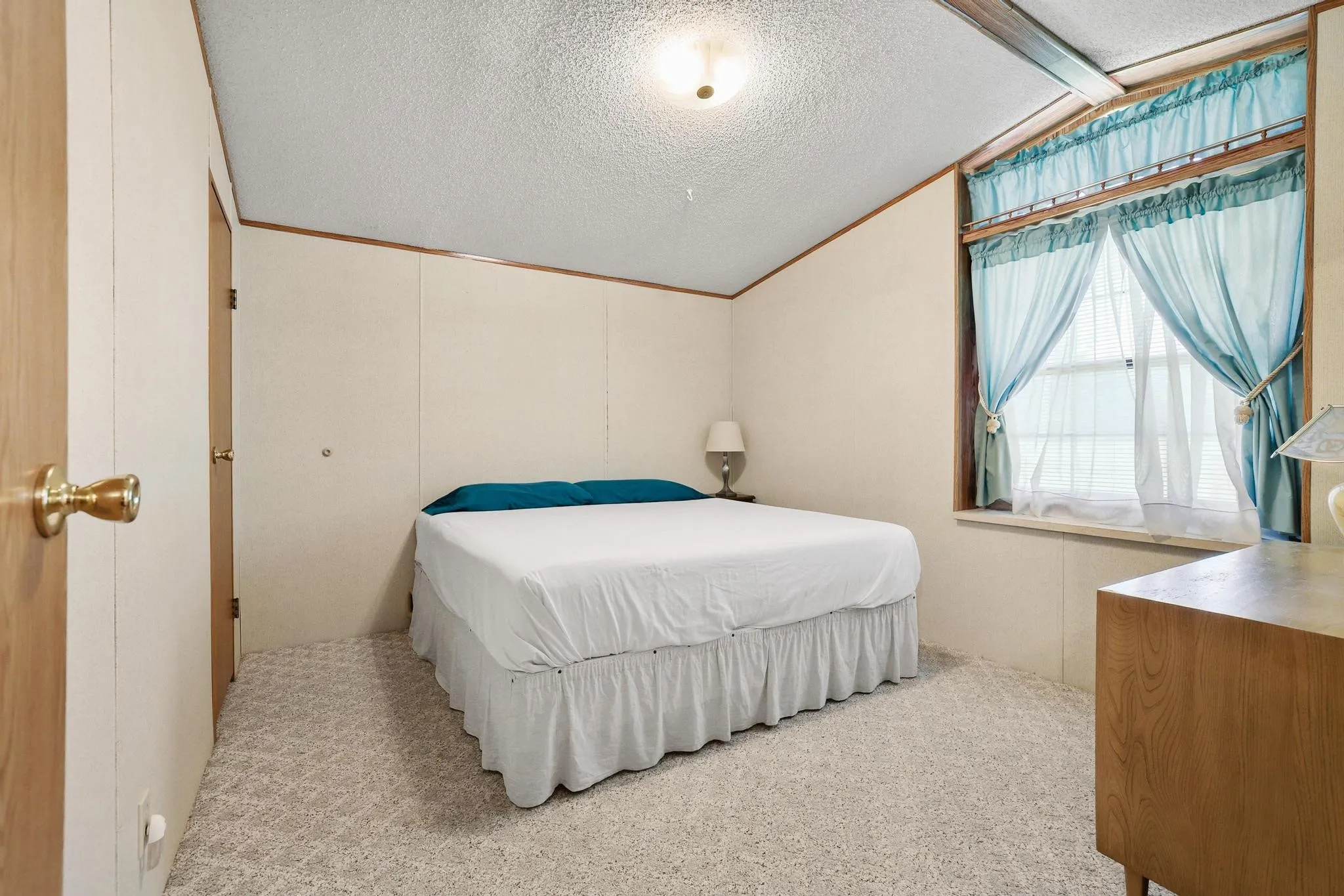 Carpeted room with a large window, light-colored walls, and a ceiling-mounted light fixture