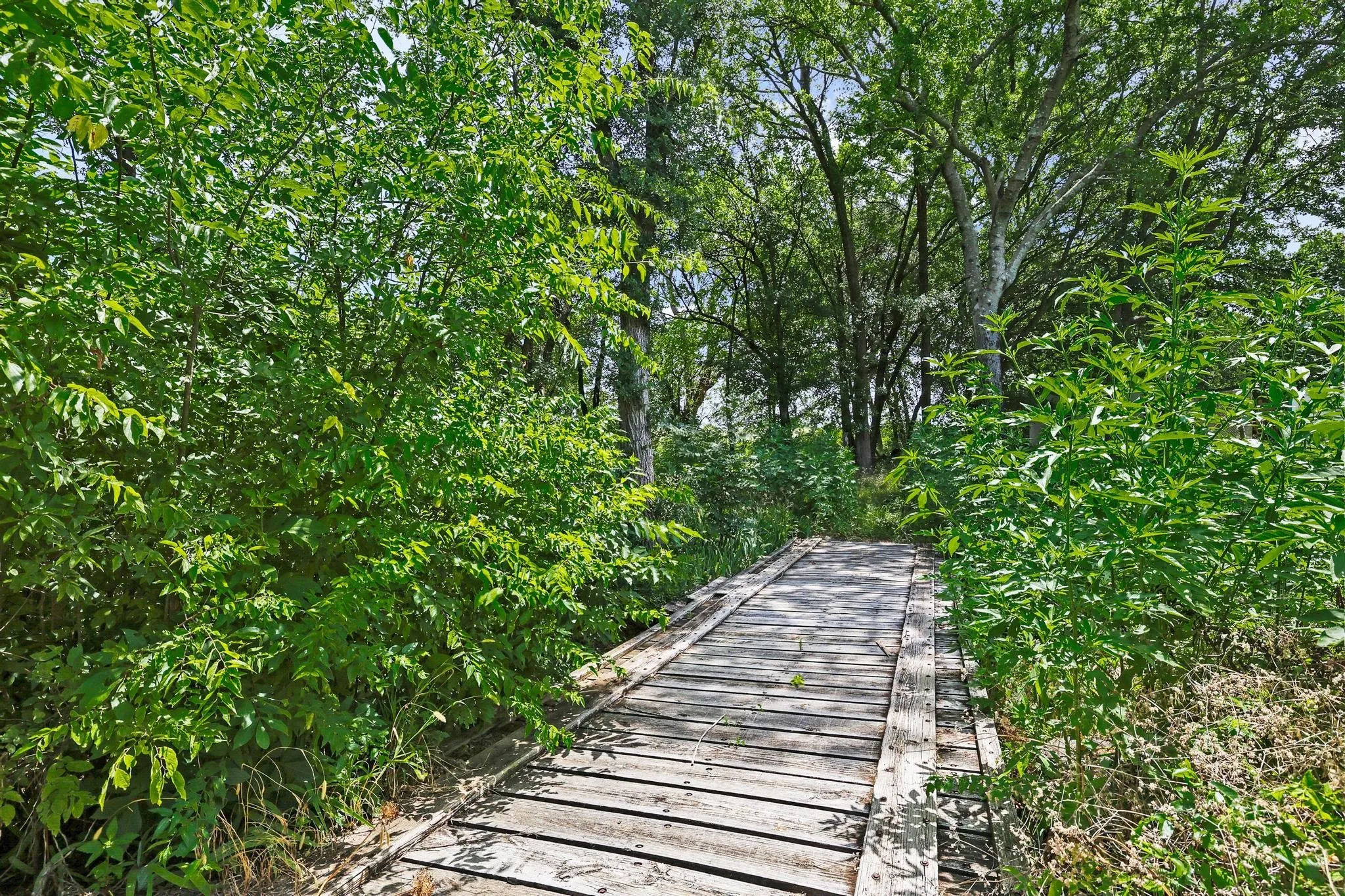 Bridge leading to pasture