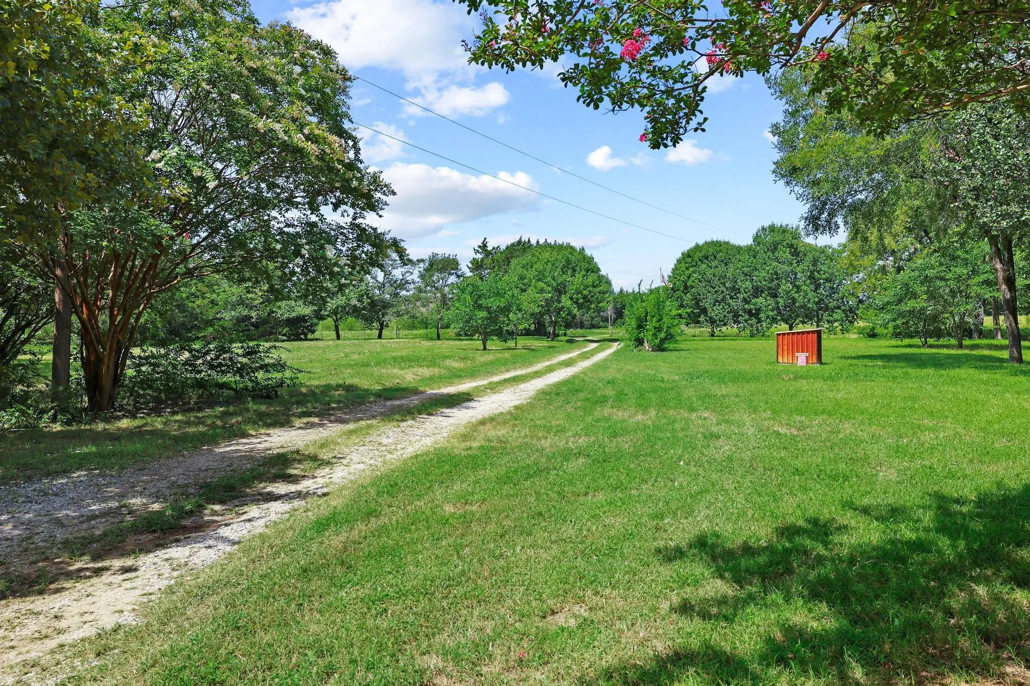 Gravel driveway coming off of Greer Rd., mature trees, manicured lawn, and natural landscaping