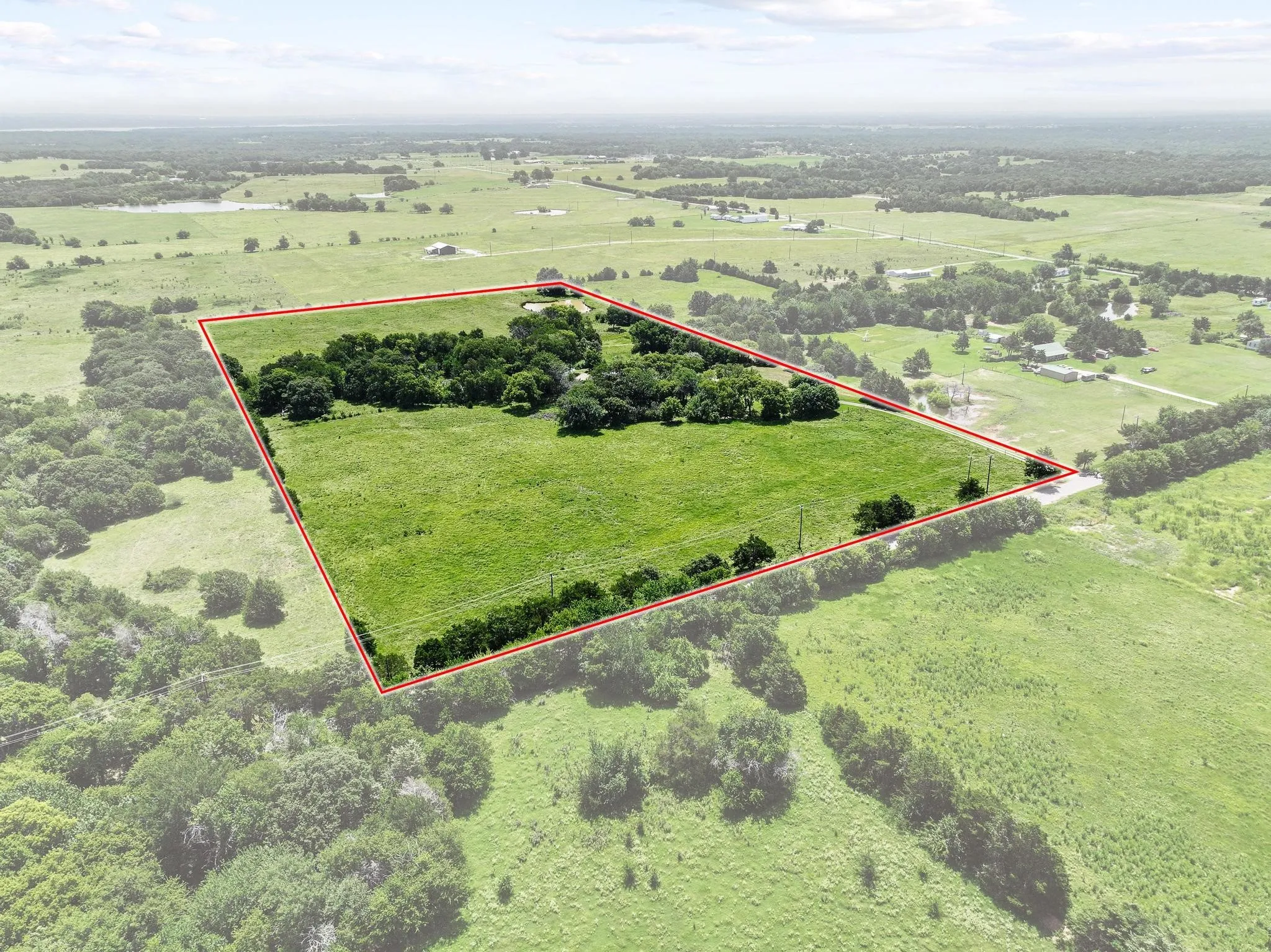 Green pastures with a cluster of mature trees