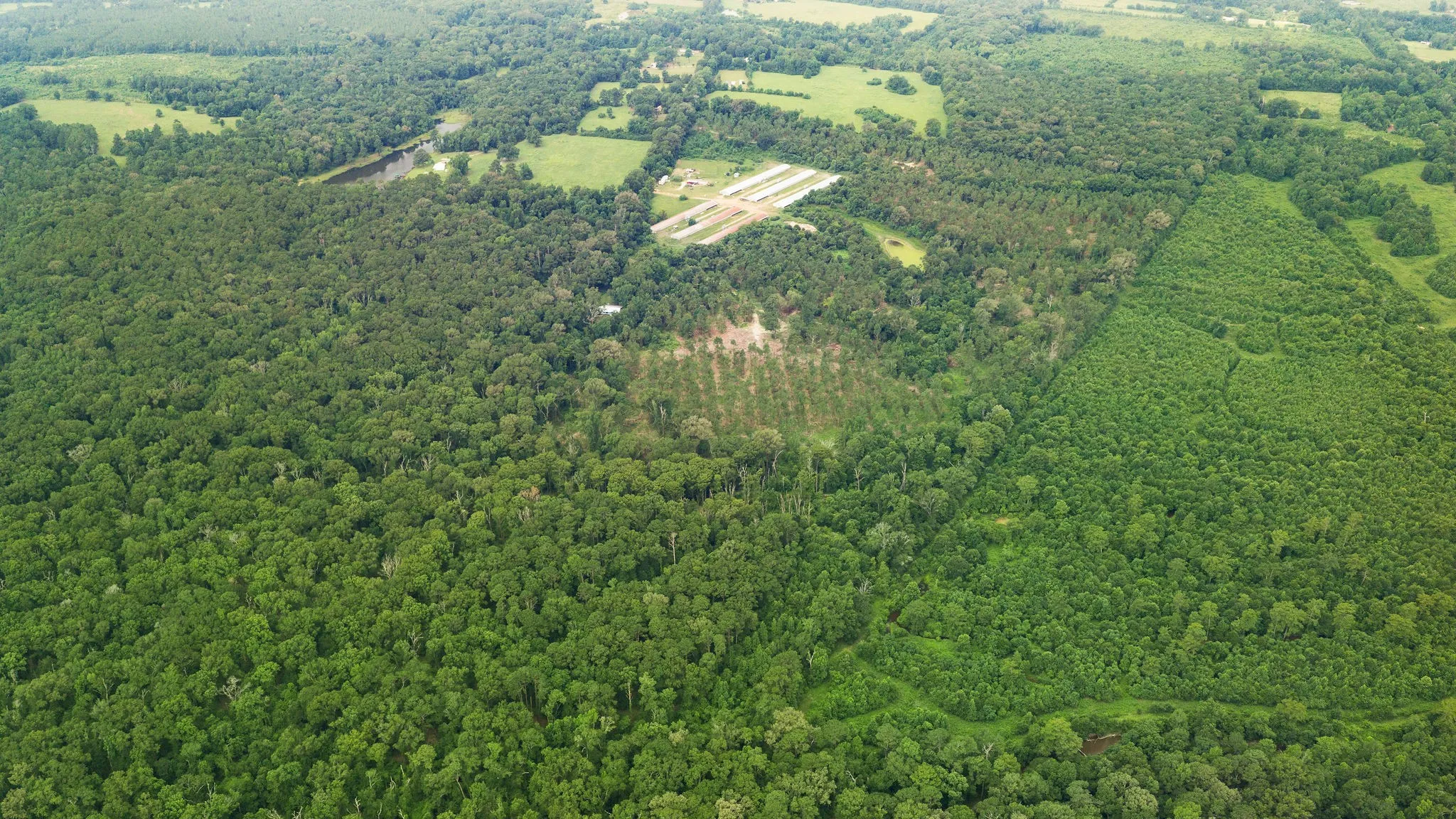 Improved Land For Sale in Shelby County , 1609 County Road 3224, Center, Texas 75935, 0, 0, Garage spaces, 0 Sqft, built in 1980, Price $350,000, mls#21334420, Real Estate Agent in Center, Homes For Sale in Shelby county, Homes For Sale in Center, Realtor in Center Texas, Real Estate Brokerage Independent Realty Texas, Luminita Cordes Realtor