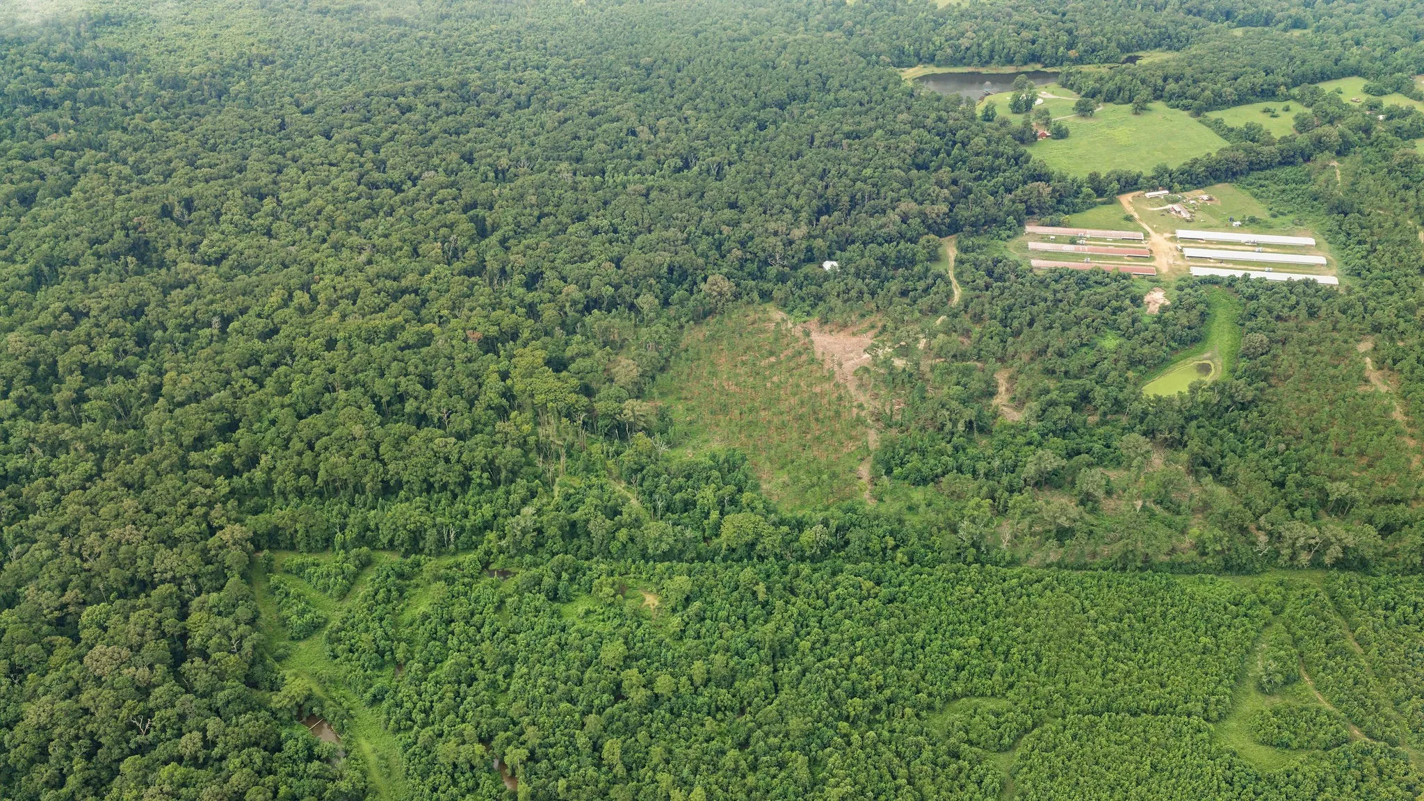 Improved Land For Sale in Shelby County , 1609 County Road 3224, Center, Texas 75935, 0, 0, Garage spaces, 0 Sqft, built in 1980, Price $350,000, mls#21334420, Real Estate Agent in Center, Homes For Sale in Shelby county, Homes For Sale in Center, Realtor in Center Texas, Real Estate Brokerage Independent Realty Texas, Luminita Cordes Realtor