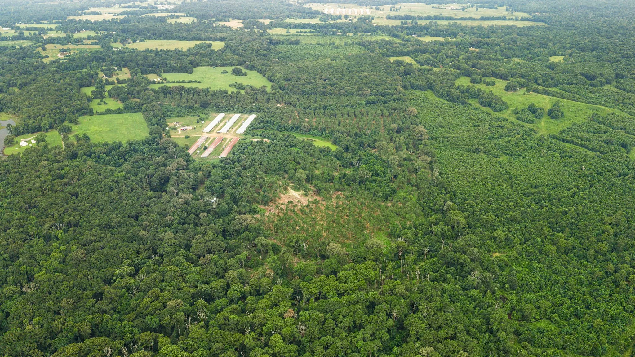 Improved Land For Sale in Shelby County , 1609 County Road 3224, Center, Texas 75935, 0, 0, Garage spaces, 0 Sqft, built in 1980, Price $350,000, mls#21334420, Real Estate Agent in Center, Homes For Sale in Shelby county, Homes For Sale in Center, Realtor in Center Texas, Real Estate Brokerage Independent Realty Texas, Luminita Cordes Realtor