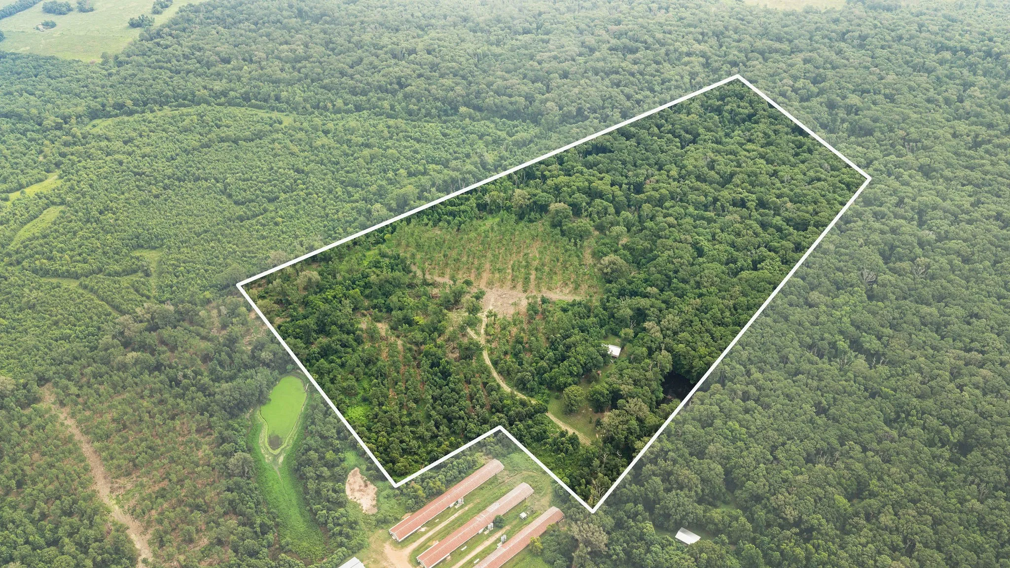 Improved Land For Sale in Shelby County , 1609 County Road 3224, Center, Texas 75935, 0, 0, Garage spaces, 0 Sqft, built in 1980, Price $350,000, mls#21334420, Real Estate Agent in Center, Homes For Sale in Shelby county, Homes For Sale in Center, Realtor in Center Texas, Real Estate Brokerage Independent Realty Texas, Luminita Cordes Realtor