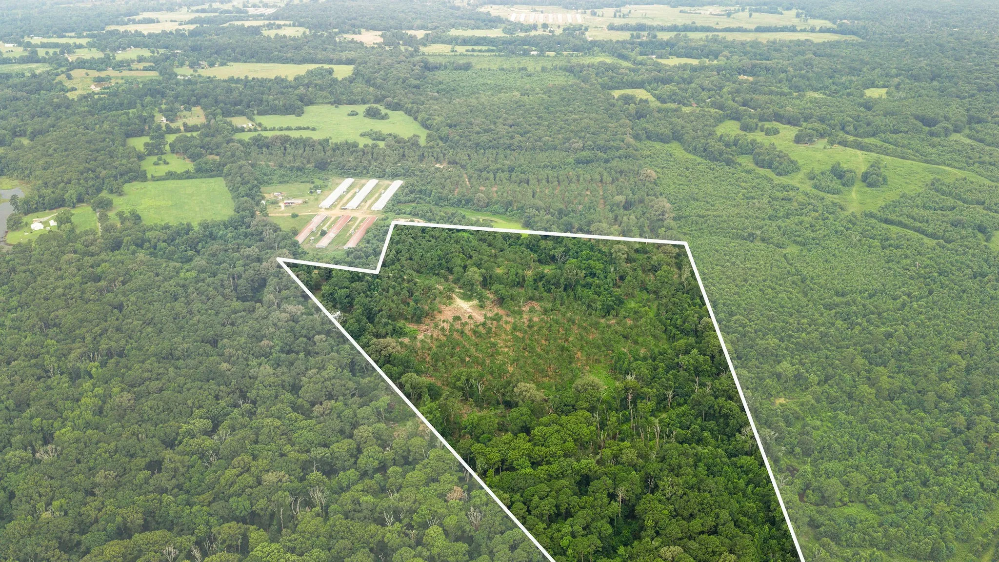 Improved Land For Sale in Shelby County , 1609 County Road 3224, Center, Texas 75935, 0, 0, Garage spaces, 0 Sqft, built in 1980, Price $350,000, mls#21334420, Real Estate Agent in Center, Homes For Sale in Shelby county, Homes For Sale in Center, Realtor in Center Texas, Real Estate Brokerage Independent Realty Texas, Luminita Cordes Realtor