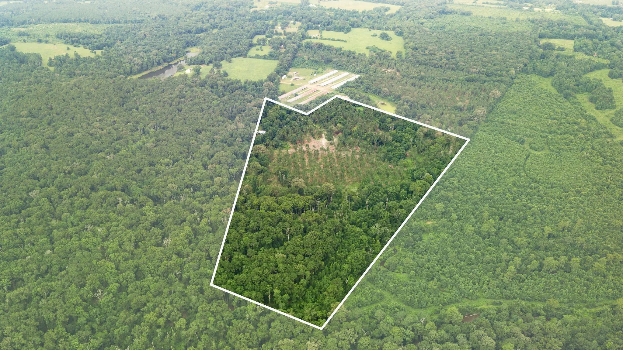 Improved Land For Sale in Shelby County , 1609 County Road 3224, Center, Texas 75935, 0, 0, Garage spaces, 0 Sqft, built in 1980, Price $350,000, mls#21334420, Real Estate Agent in Center, Homes For Sale in Shelby county, Homes For Sale in Center, Realtor in Center Texas, Real Estate Brokerage Independent Realty Texas, Luminita Cordes Realtor