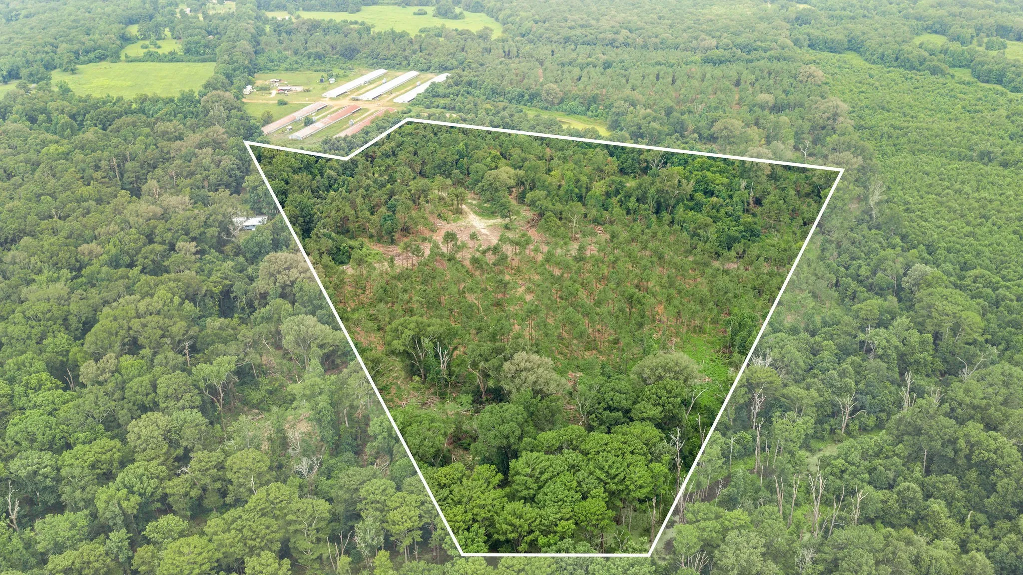 Improved Land For Sale in Shelby County , 1609 County Road 3224, Center, Texas 75935, 0, 0, Garage spaces, 0 Sqft, built in 1980, Price $350,000, mls#21334420, Real Estate Agent in Center, Homes For Sale in Shelby county, Homes For Sale in Center, Realtor in Center Texas, Real Estate Brokerage Independent Realty Texas, Luminita Cordes Realtor