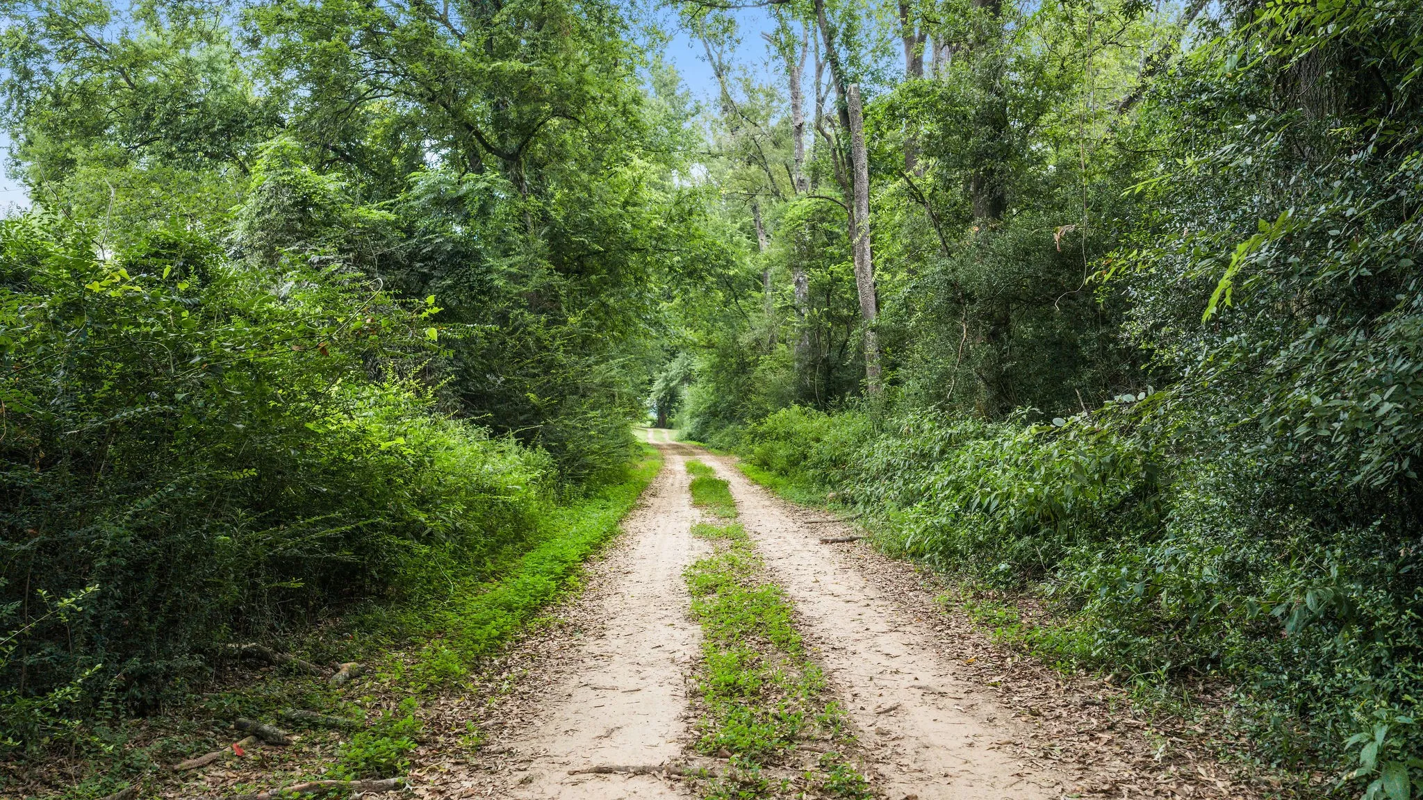 Improved Land For Sale in Shelby County , 1609 County Road 3224, Center, Texas 75935, 0, 0, Garage spaces, 0 Sqft, built in 1980, Price $350,000, mls#21334420, Real Estate Agent in Center, Homes For Sale in Shelby county, Homes For Sale in Center, Realtor in Center Texas, Real Estate Brokerage Independent Realty Texas, Luminita Cordes Realtor