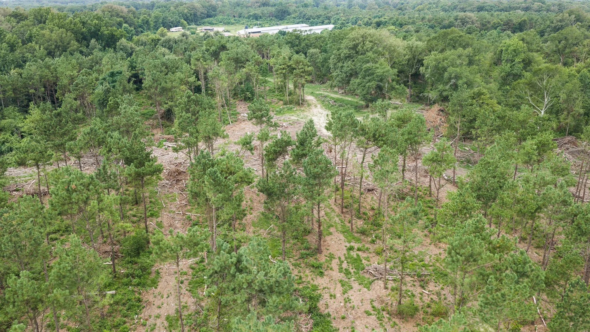 Improved Land For Sale in Shelby County , 1609 County Road 3224, Center, Texas 75935, 0, 0, Garage spaces, 0 Sqft, built in 1980, Price $350,000, mls#21334420, Real Estate Agent in Center, Homes For Sale in Shelby county, Homes For Sale in Center, Realtor in Center Texas, Real Estate Brokerage Independent Realty Texas, Luminita Cordes Realtor