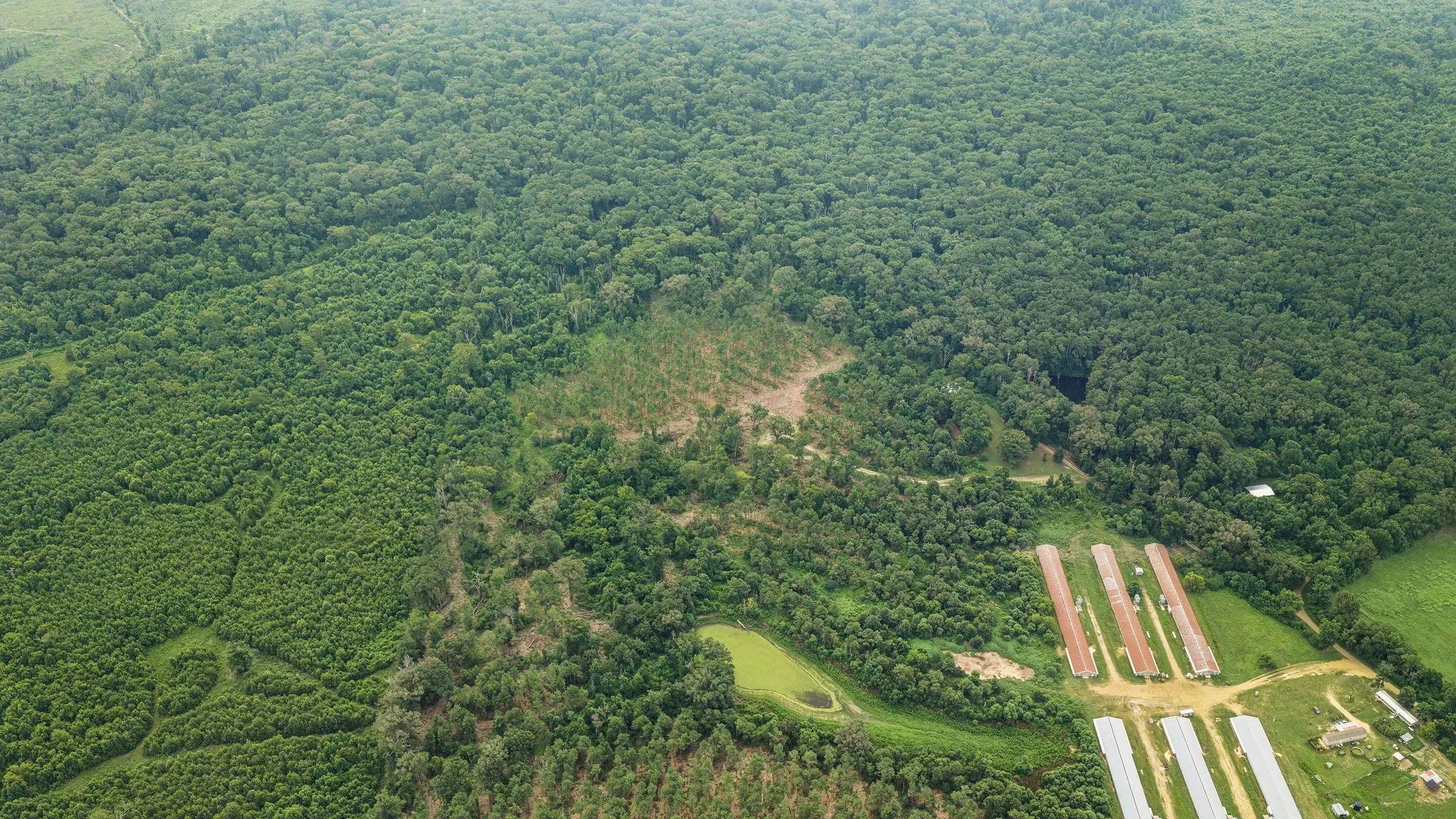 Improved Land For Sale in Shelby County , 1609 County Road 3224, Center, Texas 75935, 0, 0, Garage spaces, 0 Sqft, built in 1980, Price $350,000, mls#21334420, Real Estate Agent in Center, Homes For Sale in Shelby county, Homes For Sale in Center, Realtor in Center Texas, Real Estate Brokerage Independent Realty Texas, Luminita Cordes Realtor