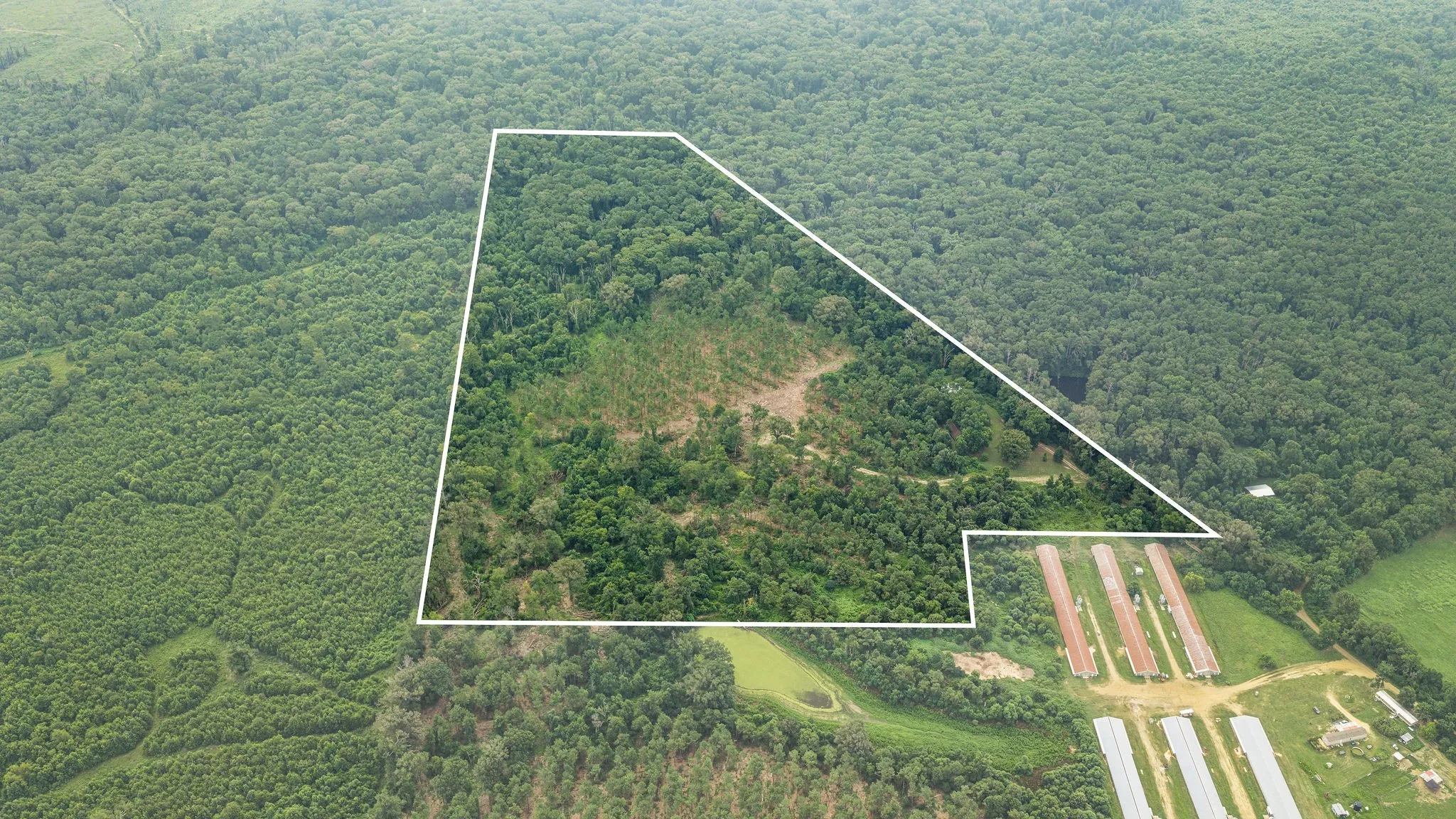 Improved Land For Sale in Shelby County , 1609 County Road 3224, Center, Texas 75935, 0, 0, Garage spaces, 0 Sqft, built in 1980, Price $350,000, mls#21334420, Real Estate Agent in Center, Homes For Sale in Shelby county, Homes For Sale in Center, Realtor in Center Texas, Real Estate Brokerage Independent Realty Texas, Luminita Cordes Realtor