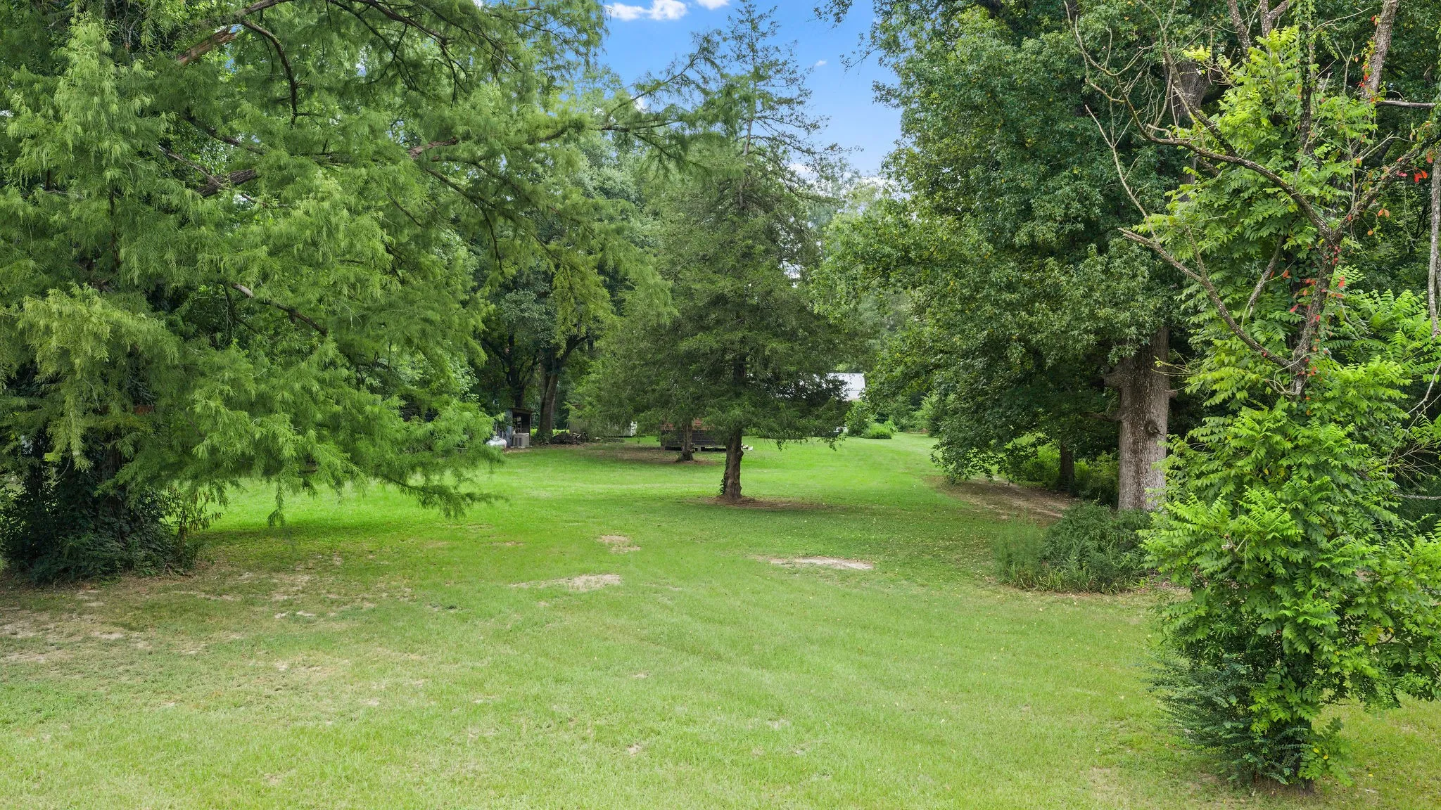 Improved Land For Sale in Shelby County , 1609 County Road 3224, Center, Texas 75935, 0, 0, Garage spaces, 0 Sqft, built in 1980, Price $350,000, mls#21334420, Real Estate Agent in Center, Homes For Sale in Shelby county, Homes For Sale in Center, Realtor in Center Texas, Real Estate Brokerage Independent Realty Texas, Luminita Cordes Realtor
