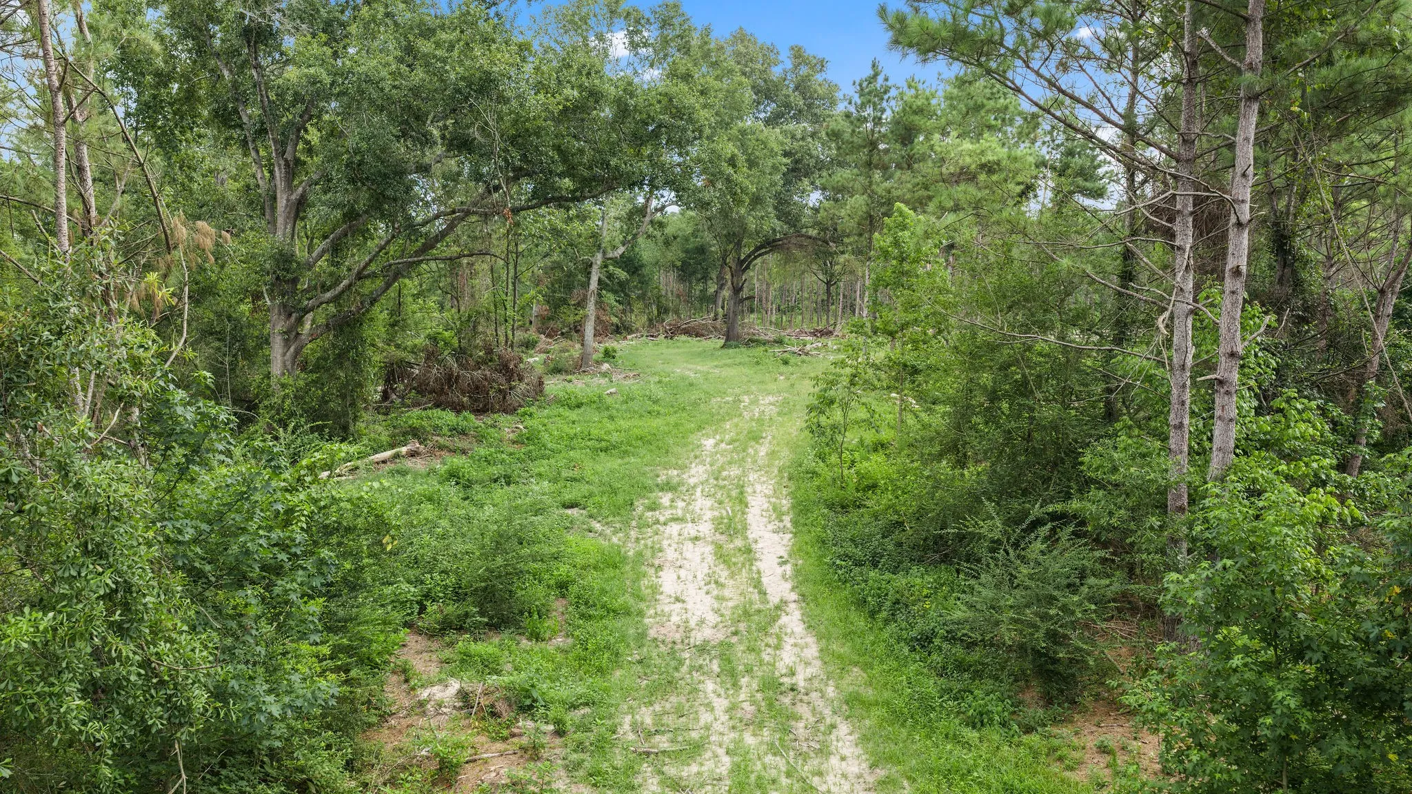 Improved Land For Sale in Shelby County , 1609 County Road 3224, Center, Texas 75935, 0, 0, Garage spaces, 0 Sqft, built in 1980, Price $350,000, mls#21334420, Real Estate Agent in Center, Homes For Sale in Shelby county, Homes For Sale in Center, Realtor in Center Texas, Real Estate Brokerage Independent Realty Texas, Luminita Cordes Realtor