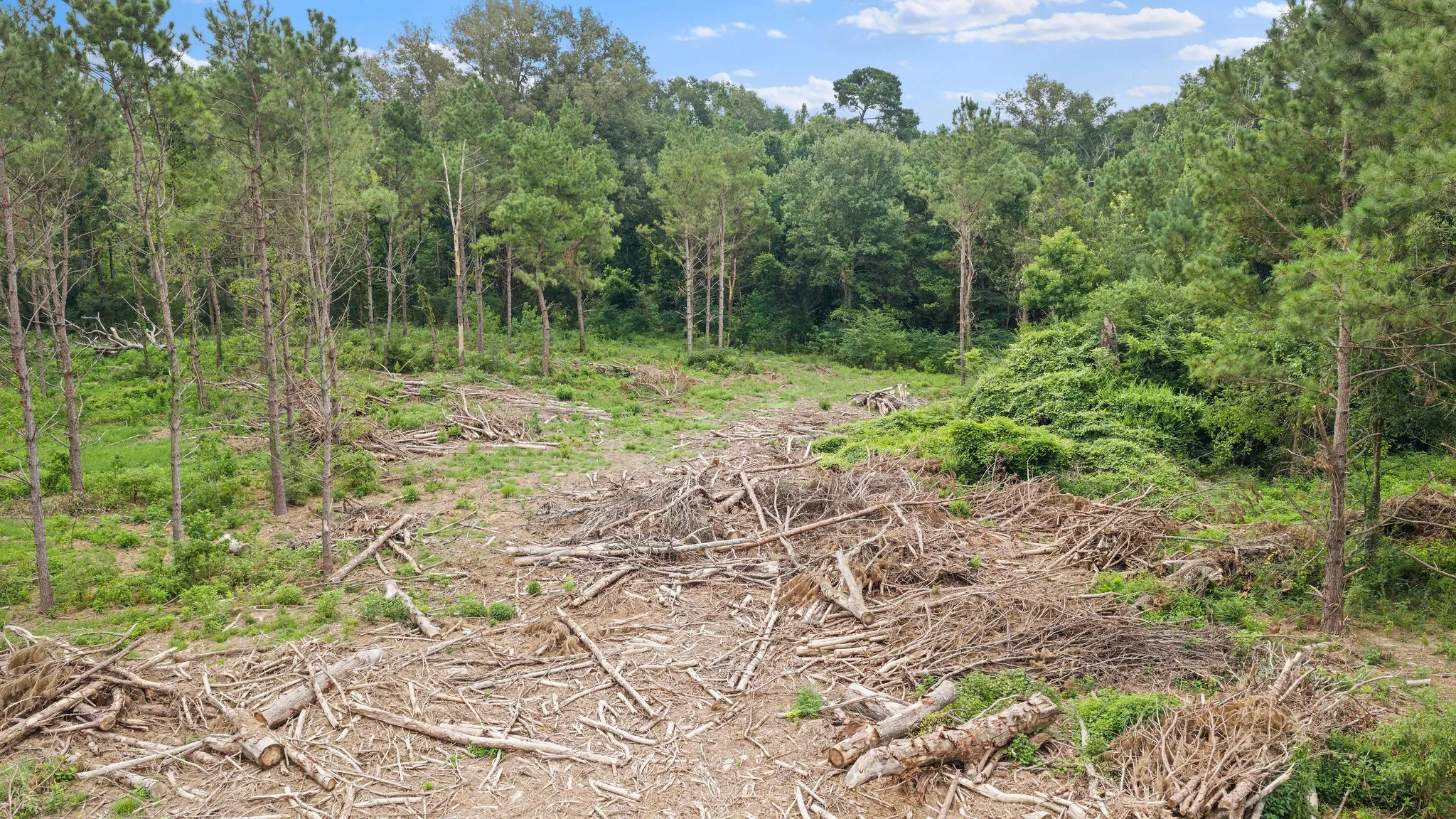 Improved Land For Sale in Shelby County , 1609 County Road 3224, Center, Texas 75935, 0, 0, Garage spaces, 0 Sqft, built in 1980, Price $350,000, mls#21334420, Real Estate Agent in Center, Homes For Sale in Shelby county, Homes For Sale in Center, Realtor in Center Texas, Real Estate Brokerage Independent Realty Texas, Luminita Cordes Realtor