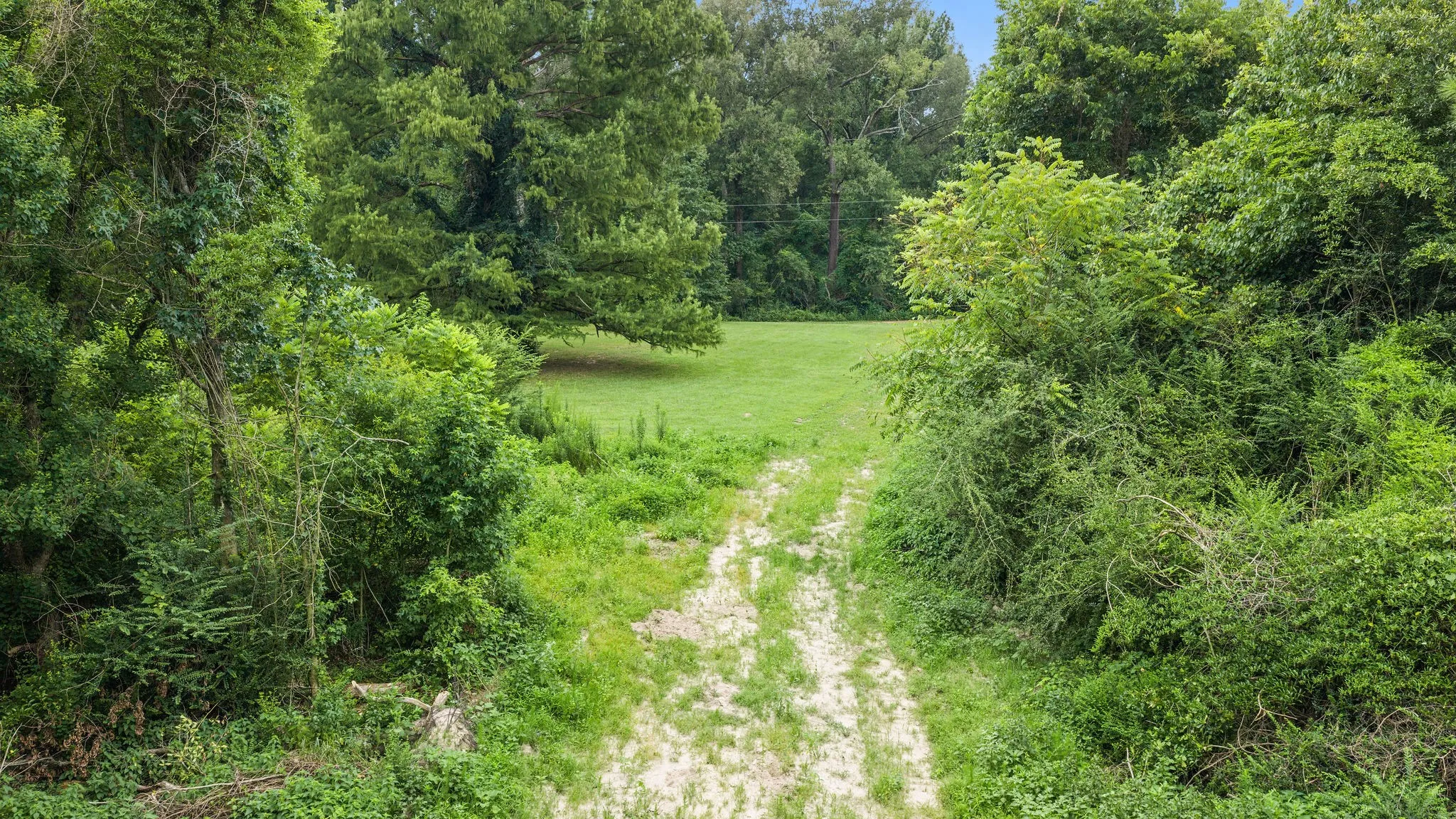 Improved Land For Sale in Shelby County , 1609 County Road 3224, Center, Texas 75935, 0, 0, Garage spaces, 0 Sqft, built in 1980, Price $350,000, mls#21334420, Real Estate Agent in Center, Homes For Sale in Shelby county, Homes For Sale in Center, Realtor in Center Texas, Real Estate Brokerage Independent Realty Texas, Luminita Cordes Realtor