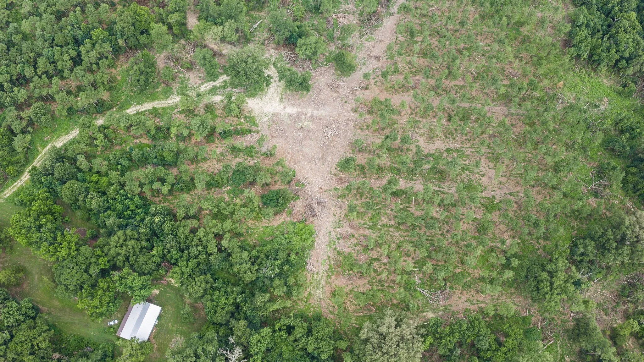 Improved Land For Sale in Shelby County , 1609 County Road 3224, Center, Texas 75935, 0, 0, Garage spaces, 0 Sqft, built in 1980, Price $350,000, mls#21334420, Real Estate Agent in Center, Homes For Sale in Shelby county, Homes For Sale in Center, Realtor in Center Texas, Real Estate Brokerage Independent Realty Texas, Luminita Cordes Realtor