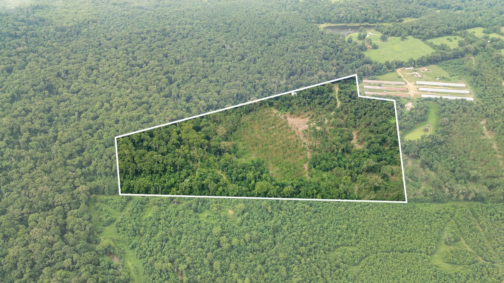 Improved Land For Sale in Shelby County , 1609 County Road 3224, Center, Texas 75935, 0, 0, Garage spaces, 0 Sqft, built in 1980, Price $350,000, mls#21334420, Real Estate Agent in Center, Homes For Sale in Shelby county, Homes For Sale in Center, Realtor in Center Texas, Real Estate Brokerage Independent Realty Texas, Luminita Cordes Realtor