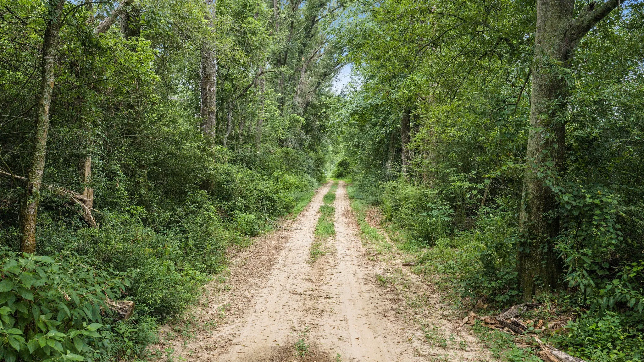 Improved Land For Sale in Shelby County , 1609 County Road 3224, Center, Texas 75935, 0, 0, Garage spaces, 0 Sqft, built in 1980, Price $350,000, mls#21334420, Real Estate Agent in Center, Homes For Sale in Shelby county, Homes For Sale in Center, Realtor in Center Texas, Real Estate Brokerage Independent Realty Texas, Luminita Cordes Realtor