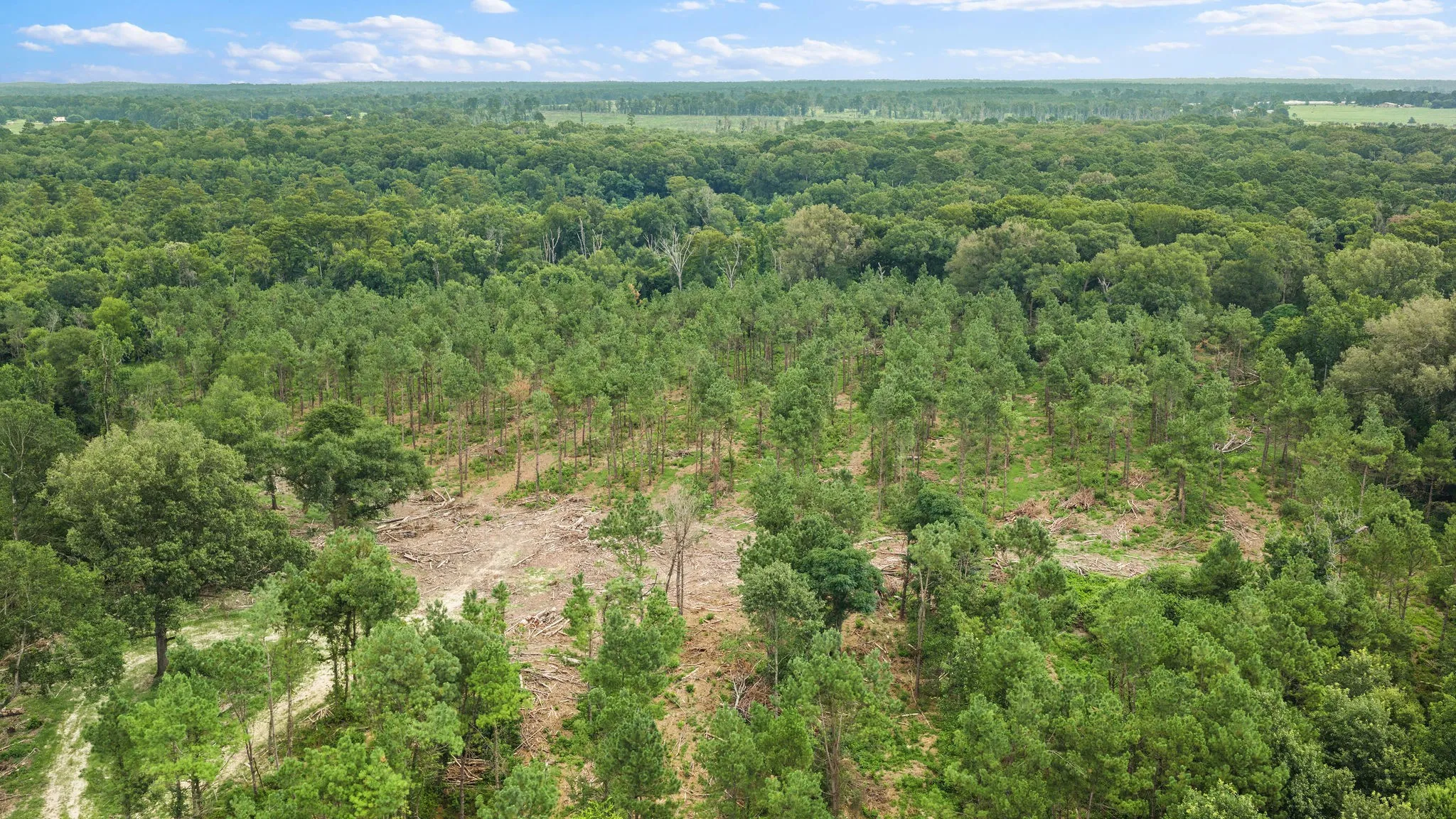 Improved Land For Sale in Shelby County , 1609 County Road 3224, Center, Texas 75935, 0, 0, Garage spaces, 0 Sqft, built in 1980, Price $350,000, mls#21334420, Real Estate Agent in Center, Homes For Sale in Shelby county, Homes For Sale in Center, Realtor in Center Texas, Real Estate Brokerage Independent Realty Texas, Luminita Cordes Realtor