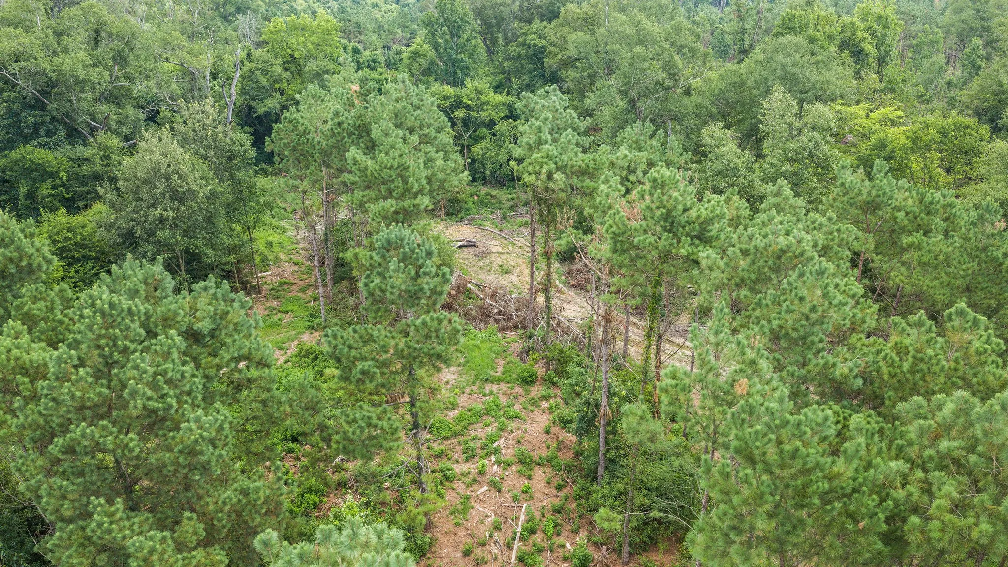 Improved Land For Sale in Shelby County , 1609 County Road 3224, Center, Texas 75935, 0, 0, Garage spaces, 0 Sqft, built in 1980, Price $350,000, mls#21334420, Real Estate Agent in Center, Homes For Sale in Shelby county, Homes For Sale in Center, Realtor in Center Texas, Real Estate Brokerage Independent Realty Texas, Luminita Cordes Realtor