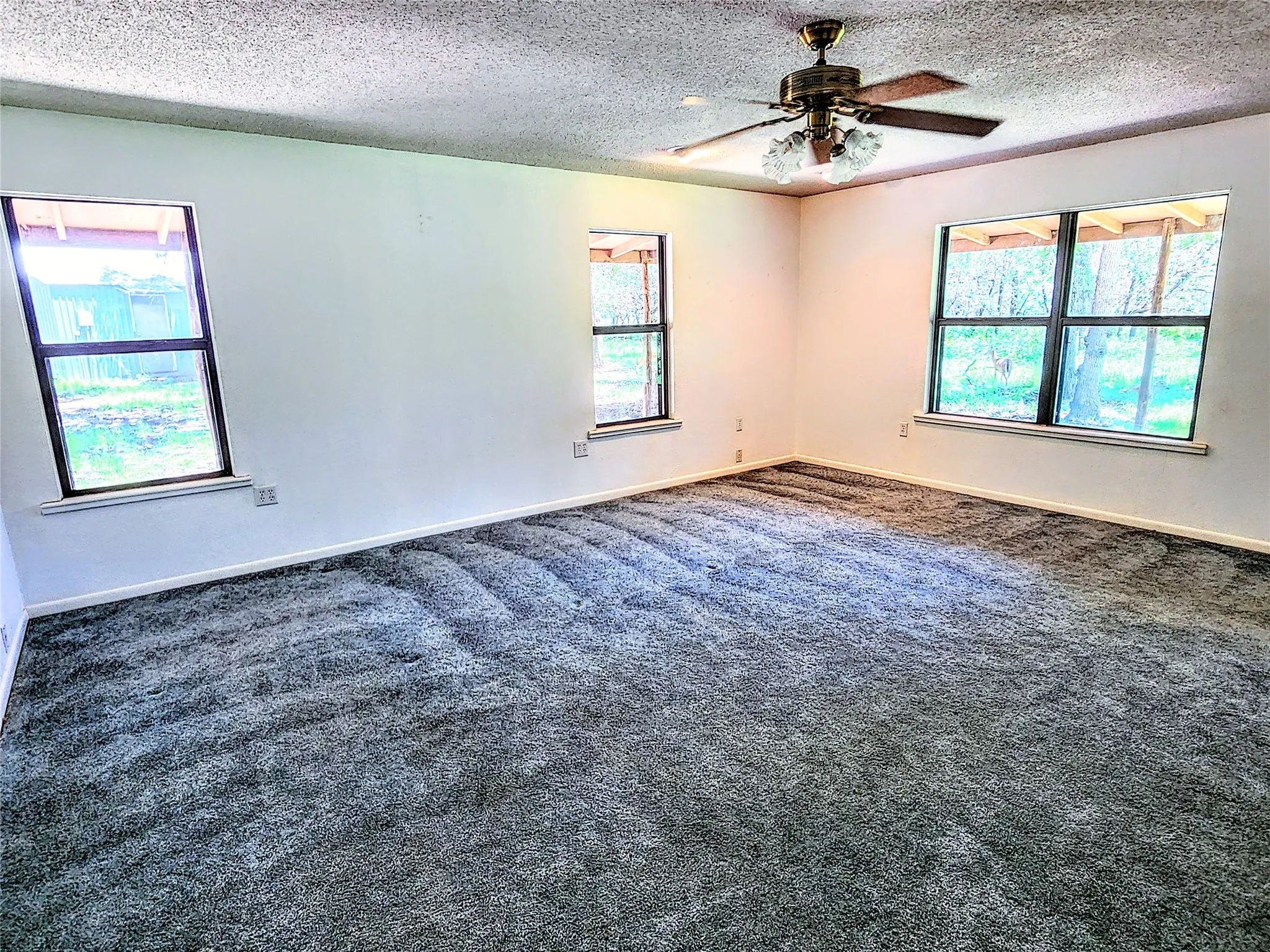 Single Family Residence For Sale in Taylor County , 286 CR 271, Abilene, Texas 79562, 3 Bedroom, 3 Bathroom, 8 Garage spaces, 2,560 Sqft, built in 1994, mls#21338774, Real Estate Agent in Abilene, Homes For Sale in Taylor county, Homes For Sale in Abilene, Realtor in Abilene Texas, Real Estate Brokerage Independent Realty Texas, Luminita Cordes Realtor