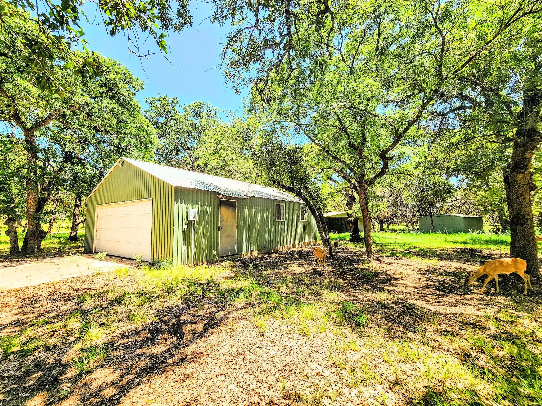 Single Family Residence For Sale in Taylor County , 286 CR 271, Abilene, Texas 79562, 3 Bedroom, 3 Bathroom, 8 Garage spaces, 2,560 Sqft, built in 1994, mls#21338774, Real Estate Agent in Abilene, Homes For Sale in Taylor county, Homes For Sale in Abilene, Realtor in Abilene Texas, Real Estate Brokerage Independent Realty Texas, Luminita Cordes Realtor