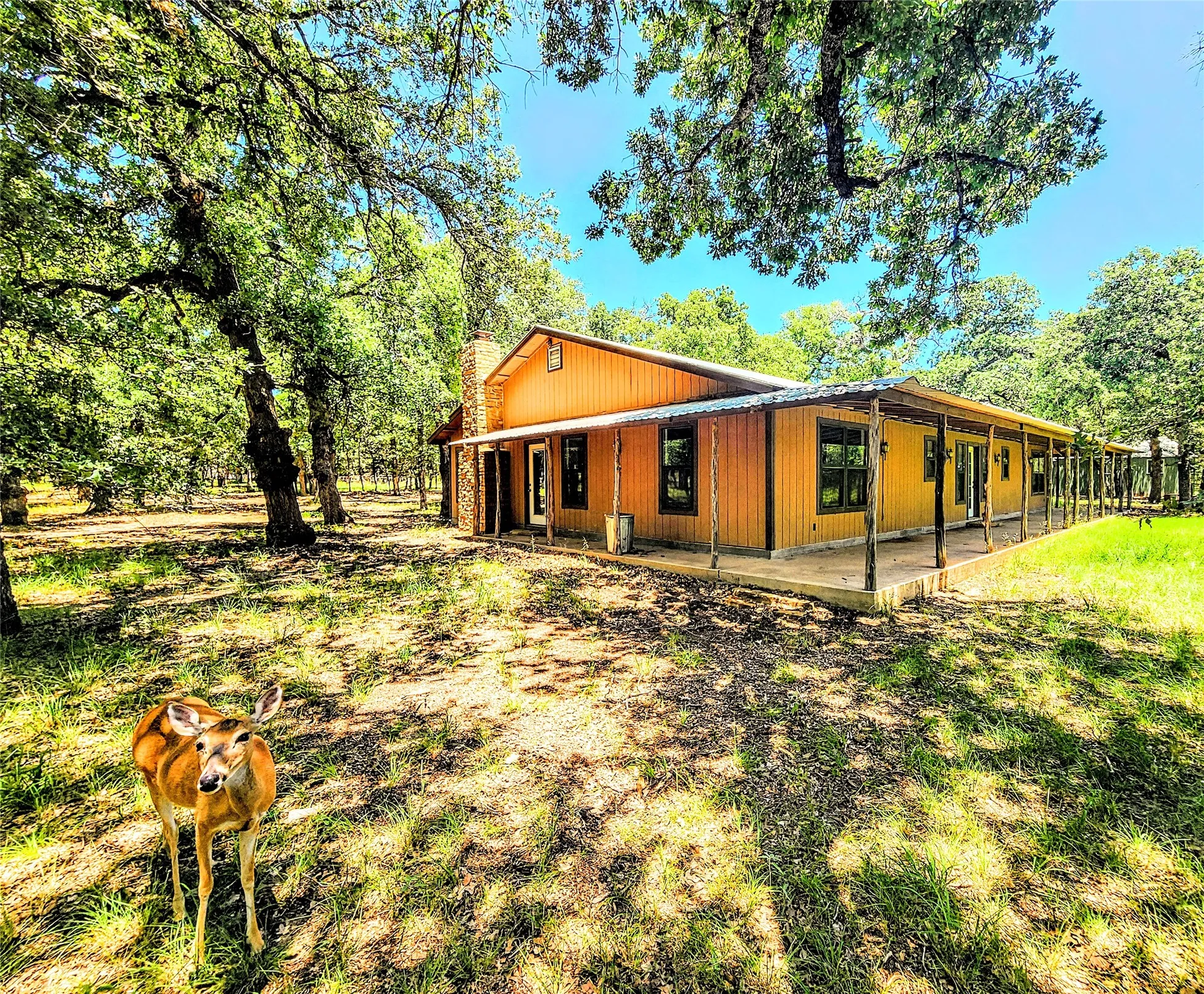 Single Family Residence For Sale in Taylor County , 286 CR 271, Abilene, Texas 79562, 3 Bedroom, 3 Bathroom, 8 Garage spaces, 2,560 Sqft, built in 1994, mls#21338774, Real Estate Agent in Abilene, Homes For Sale in Taylor county, Homes For Sale in Abilene, Realtor in Abilene Texas, Real Estate Brokerage Independent Realty Texas, Luminita Cordes Realtor