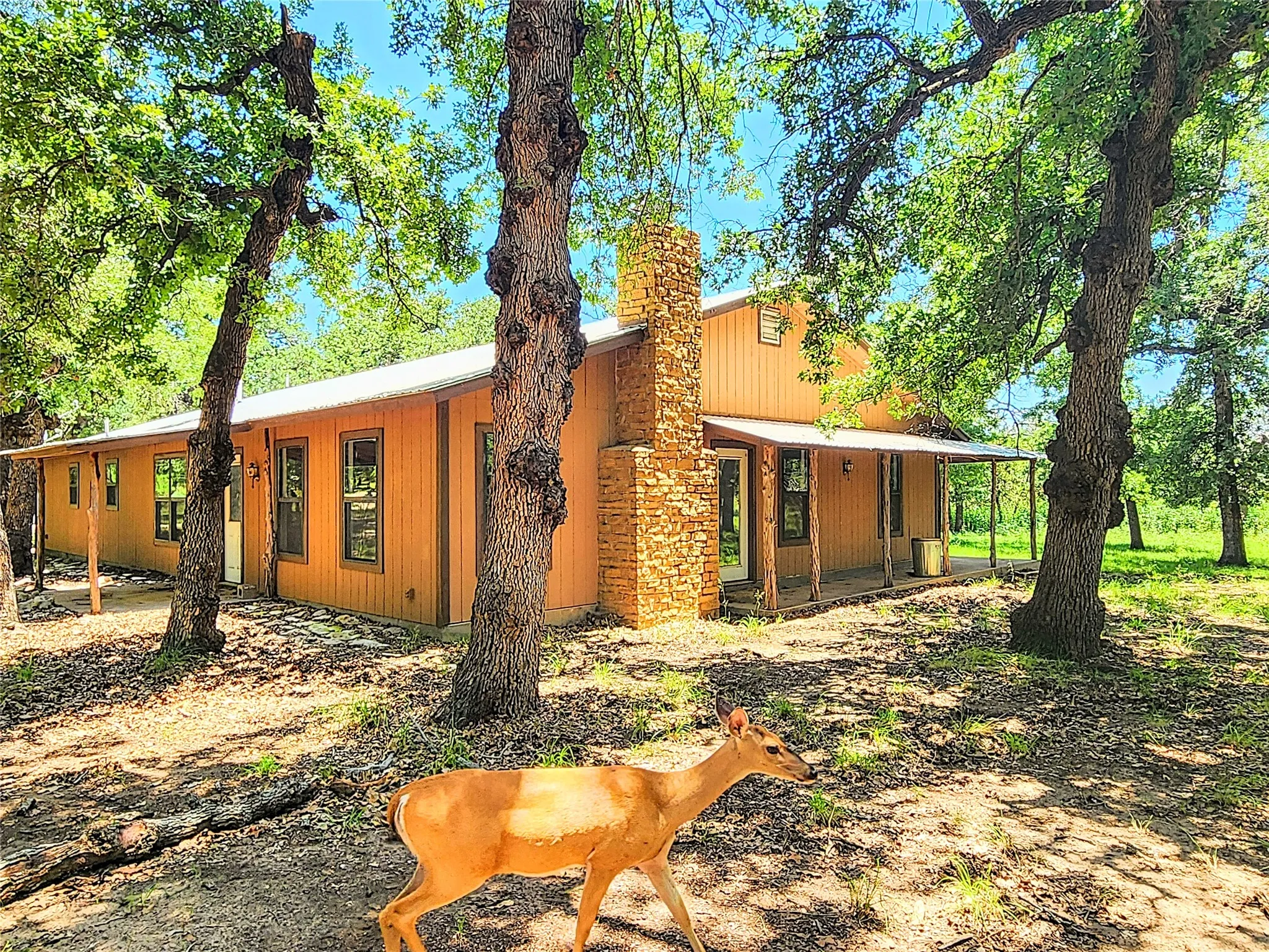 Single Family Residence For Sale in Taylor County , 286 CR 271, Abilene, Texas 79562, 3 Bedroom, 3 Bathroom, 8 Garage spaces, 2,560 Sqft, built in 1994, mls#21338774, Real Estate Agent in Abilene, Homes For Sale in Taylor county, Homes For Sale in Abilene, Realtor in Abilene Texas, Real Estate Brokerage Independent Realty Texas, Luminita Cordes Realtor