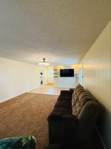 Spacious living area featuring brown carpeting, light wood-finish flooring, and white vertical paneled walls