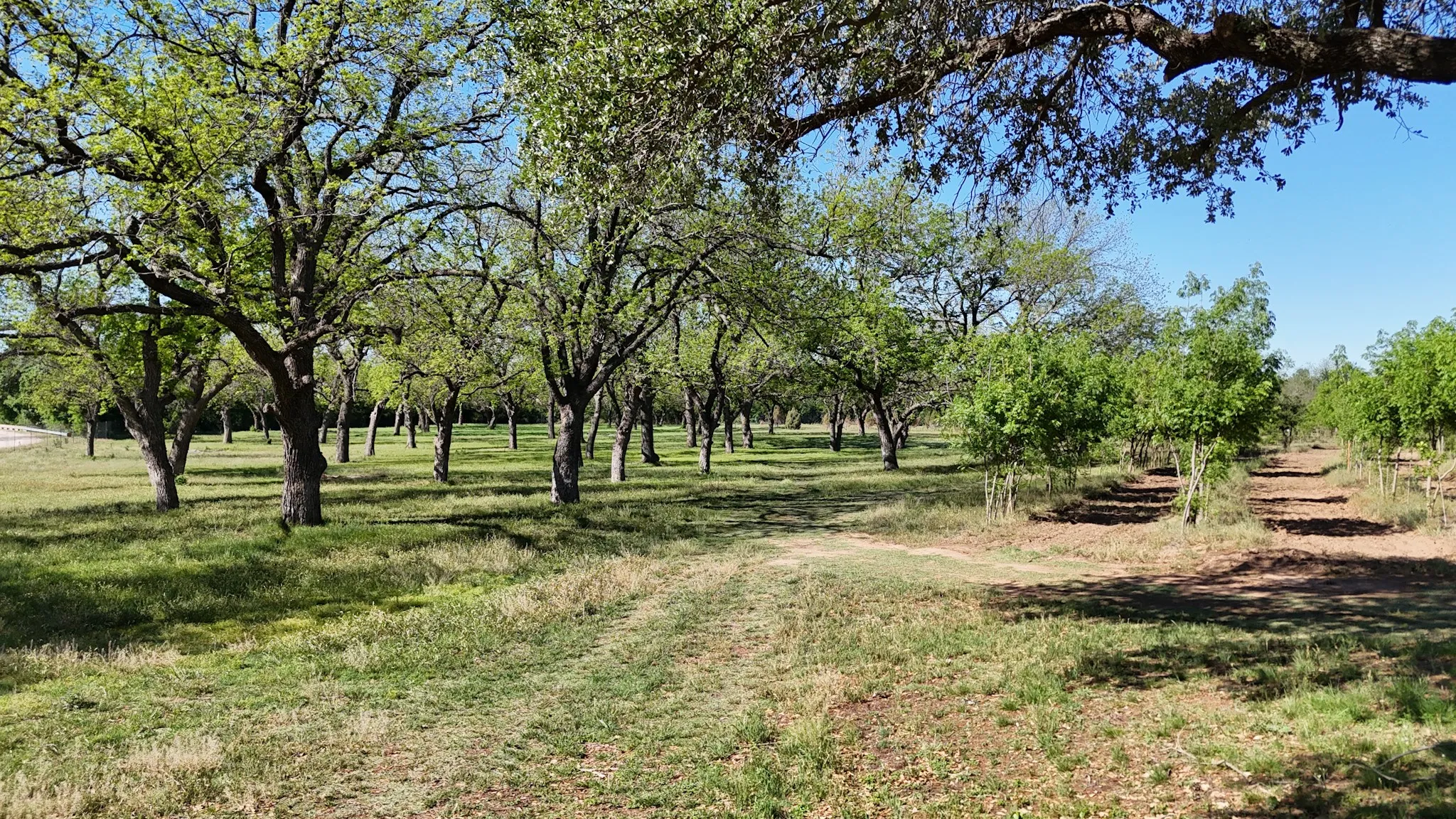 Farm For Sale in Comanche County , 401 County Road 326, Comanche, Texas 76442, 3 Bedroom, 2 Bathroom, Garage spaces, 2,553 Sqft, built in 1942, mls#21338777, Real Estate Agent in Comanche, Homes For Sale in Comanche county, Homes For Sale in Comanche, Realtor in Comanche Texas, Real Estate Brokerage Independent Realty Texas, Luminita Cordes Realtor