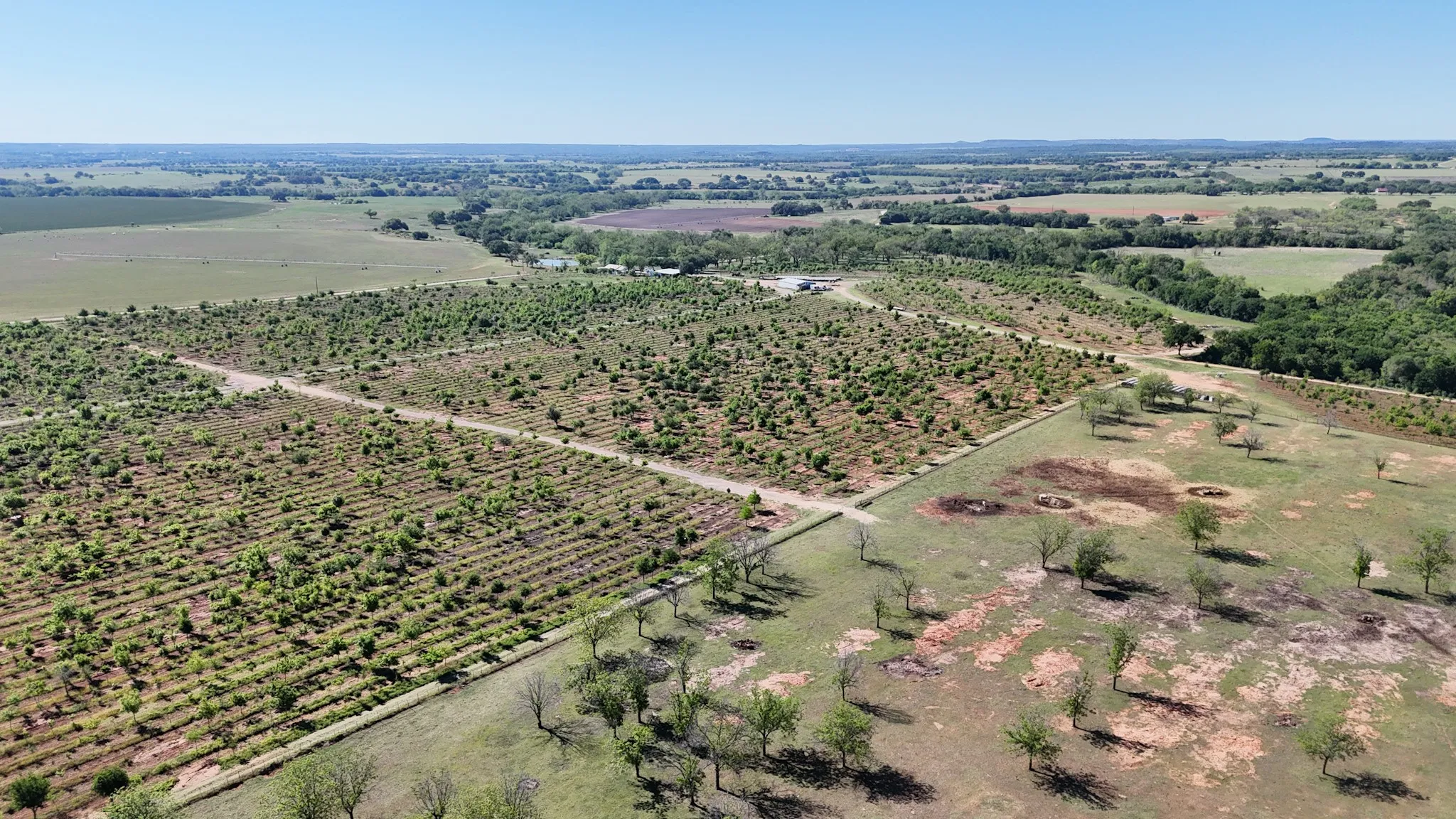 Expansive agricultural property featuring multiple cultivated fields with established rows of crops, natural foliage, and scattered trees across the landscape
