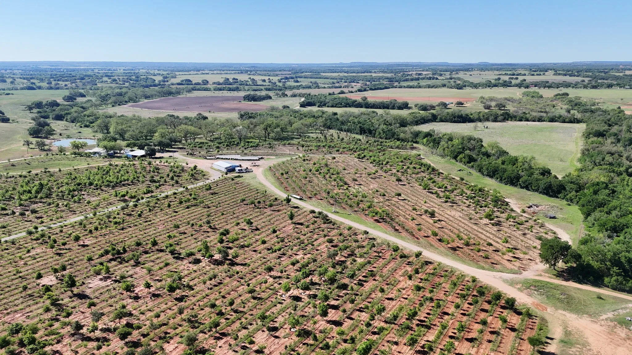 Extensive agricultural property featuring cultivated rows of vegetation, multiple structures, and a pond