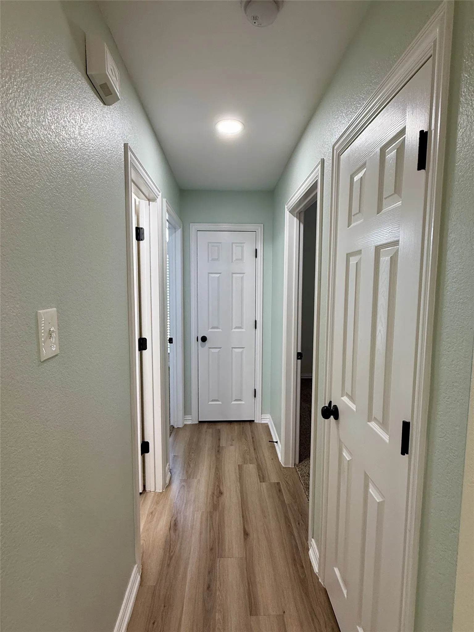 Interior hallway featuring wood-finish flooring, recessed lighting, paneled doors with black hardware, and light-toned walls