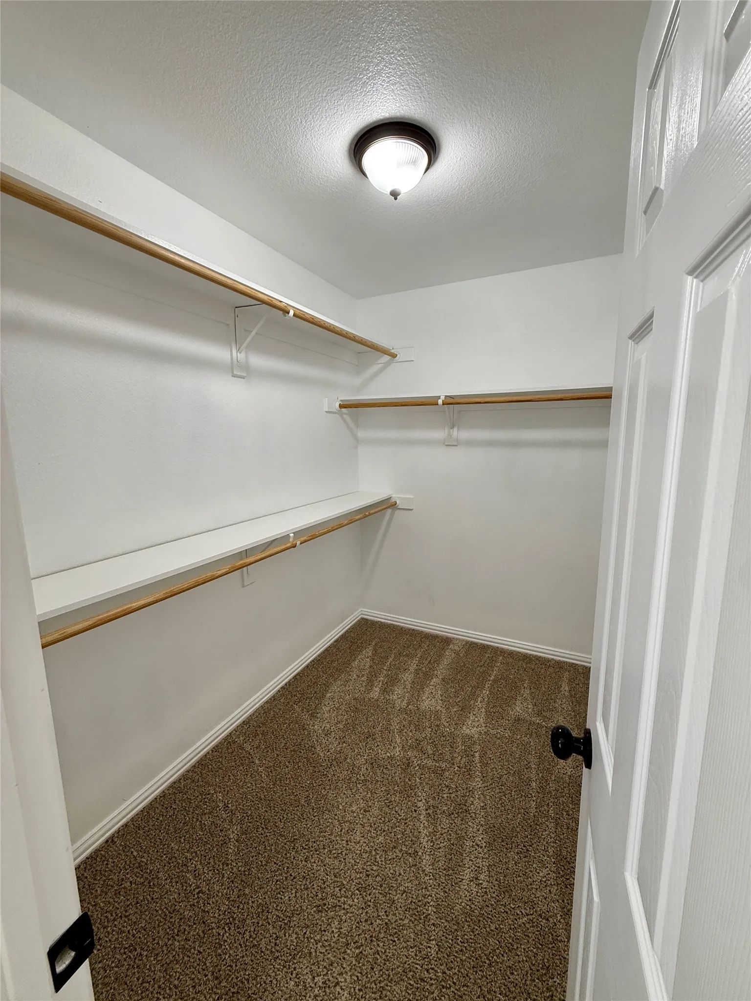 Walk-in closet featuring carpet flooring, crisp white walls, two levels of built-in shelving, and a semi-flush mount ceiling light fixture