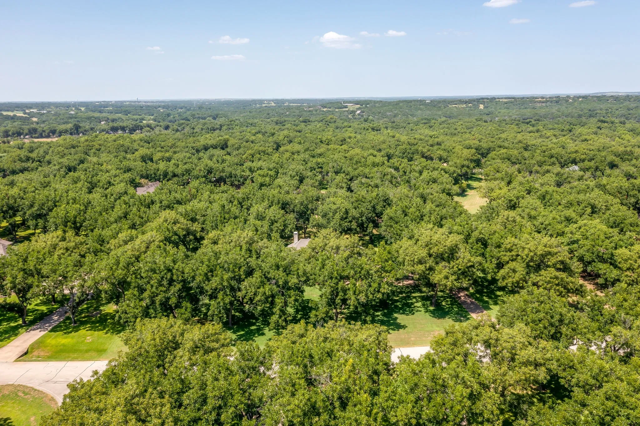 Heavily wooded lot