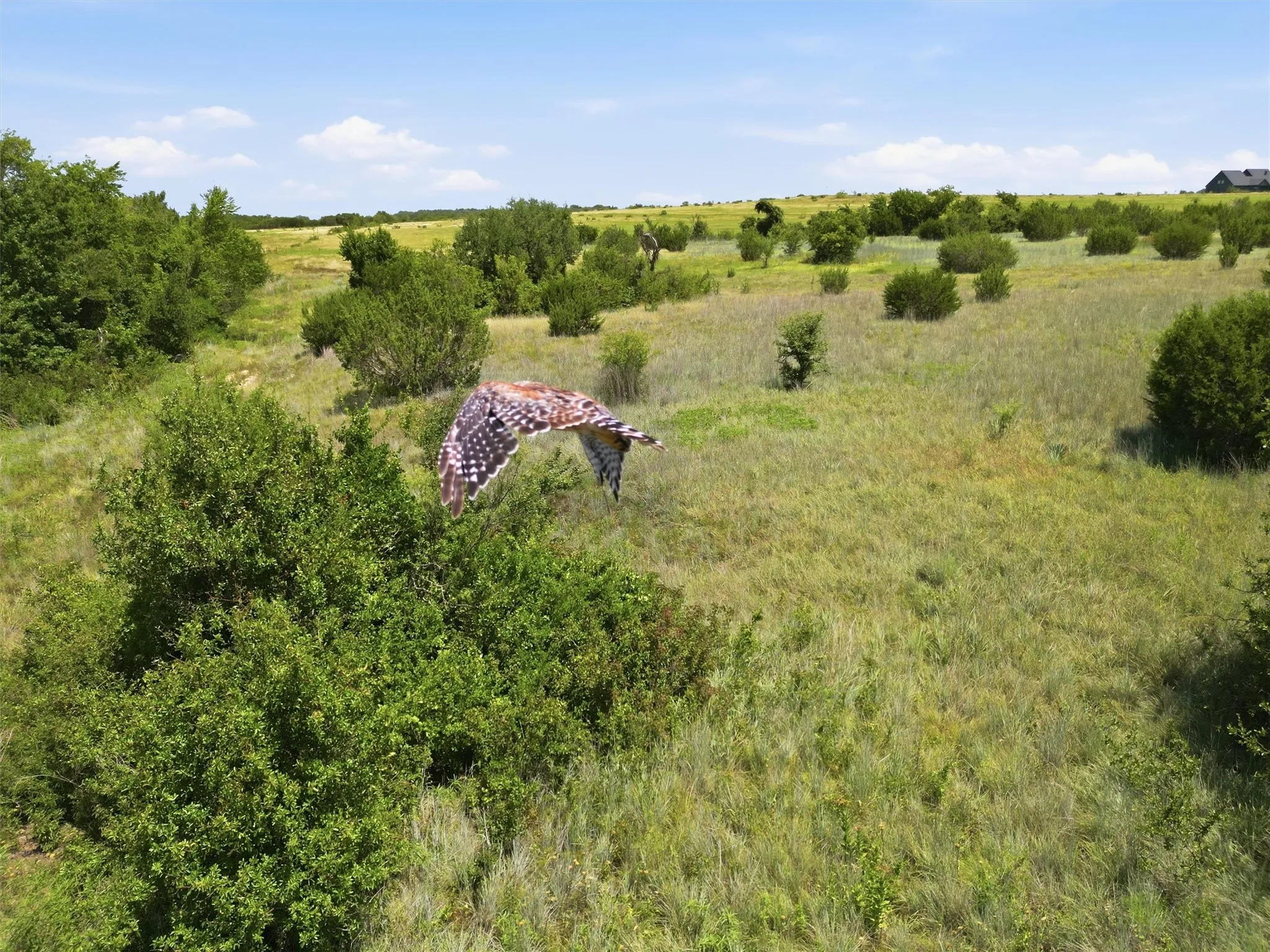 Unimproved Land For Sale in Hood County , 625 Hollow Drive, Lipan, Texas 76462, 0, 0, Garage spaces, 0 Sqft, built in 0, Price $130,000, mls#21337992, Real Estate Agent in Lipan, Homes For Sale in Hood county, Homes For Sale in Lipan, Realtor in Lipan Texas, Real Estate Brokerage Independent Realty Texas, Luminita Cordes Realtor
