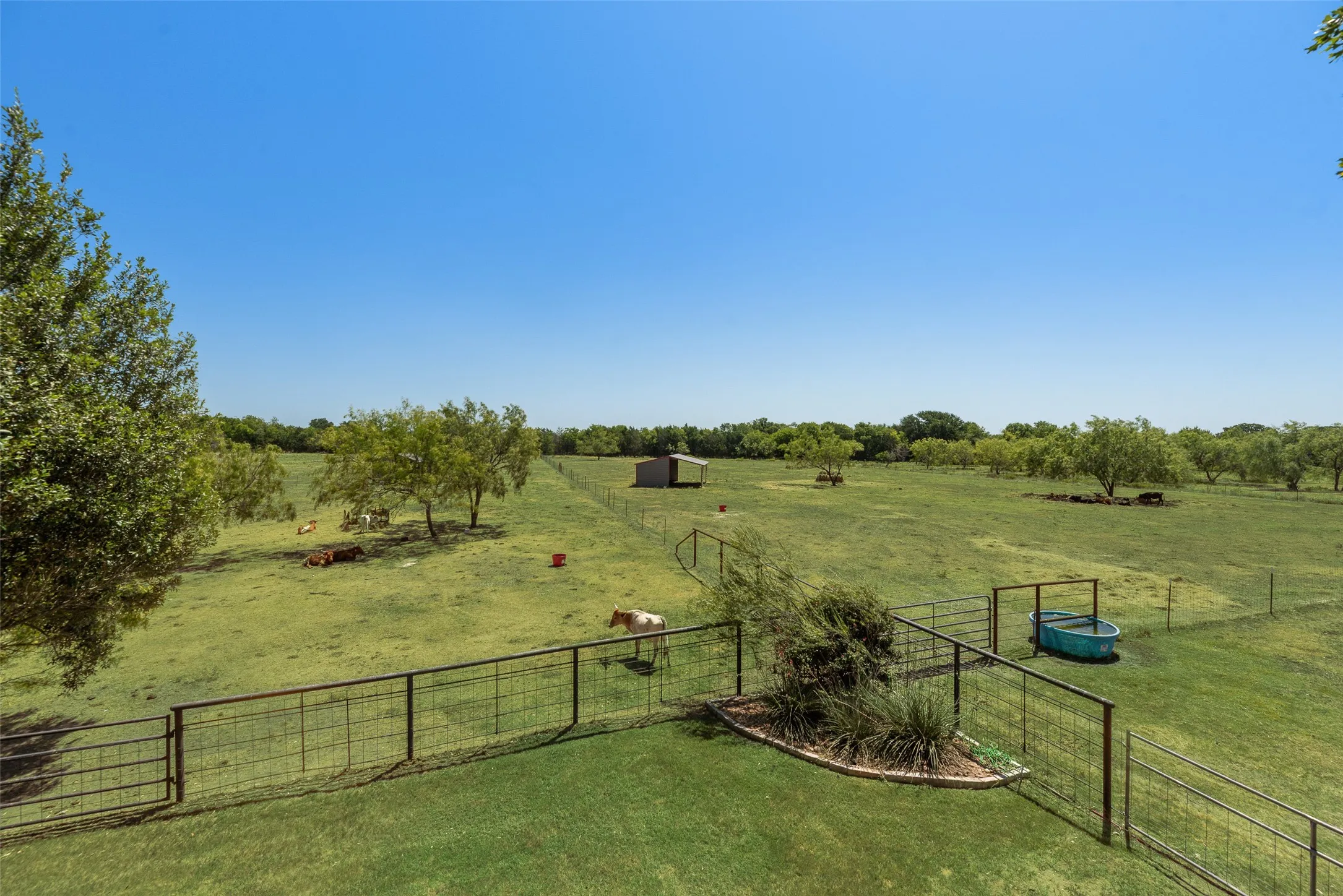 Expansive pastureland featuring a metal fence perimeter, scattered mature trees, a detached shed, and a stock tank