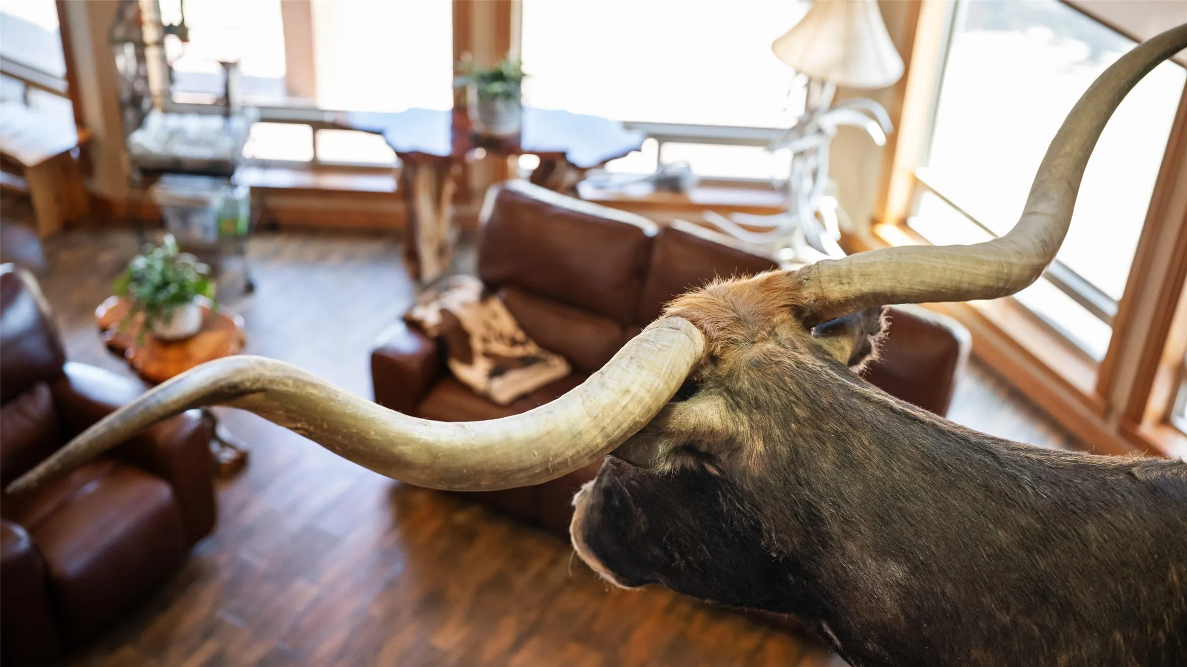 Farm For Sale in Kaufman County , 7999 County Road 151 449 177820, Kaufman, Texas 75142, 4 Bedroom, 5 Bathroom, Garage spaces, 3,224 Sqft, built in 2008, mls#21338935, Real Estate Agent in Kaufman, Homes For Sale in Kaufman county, Homes For Sale in Kaufman, Realtor in Kaufman Texas, Real Estate Brokerage Independent Realty Texas, Luminita Cordes Realtor