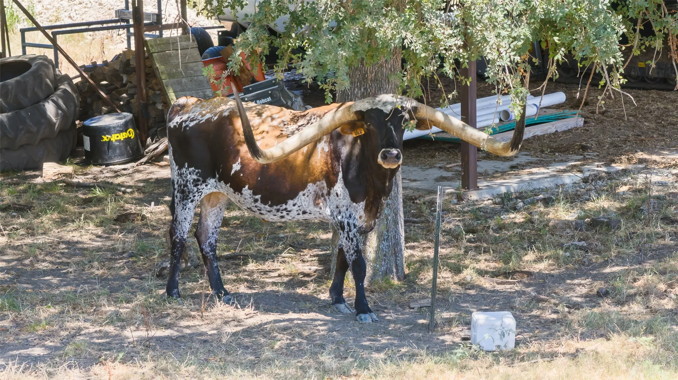Farm For Sale in Kaufman County , 7999 County Road 151 449 177820, Kaufman, Texas 75142, 4 Bedroom, 5 Bathroom, Garage spaces, 3,224 Sqft, built in 2008, mls#21338935, Real Estate Agent in Kaufman, Homes For Sale in Kaufman county, Homes For Sale in Kaufman, Realtor in Kaufman Texas, Real Estate Brokerage Independent Realty Texas, Luminita Cordes Realtor