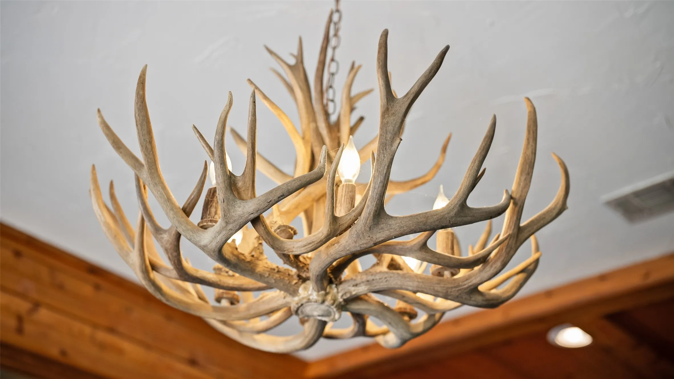 Antler Chandelier in dining area