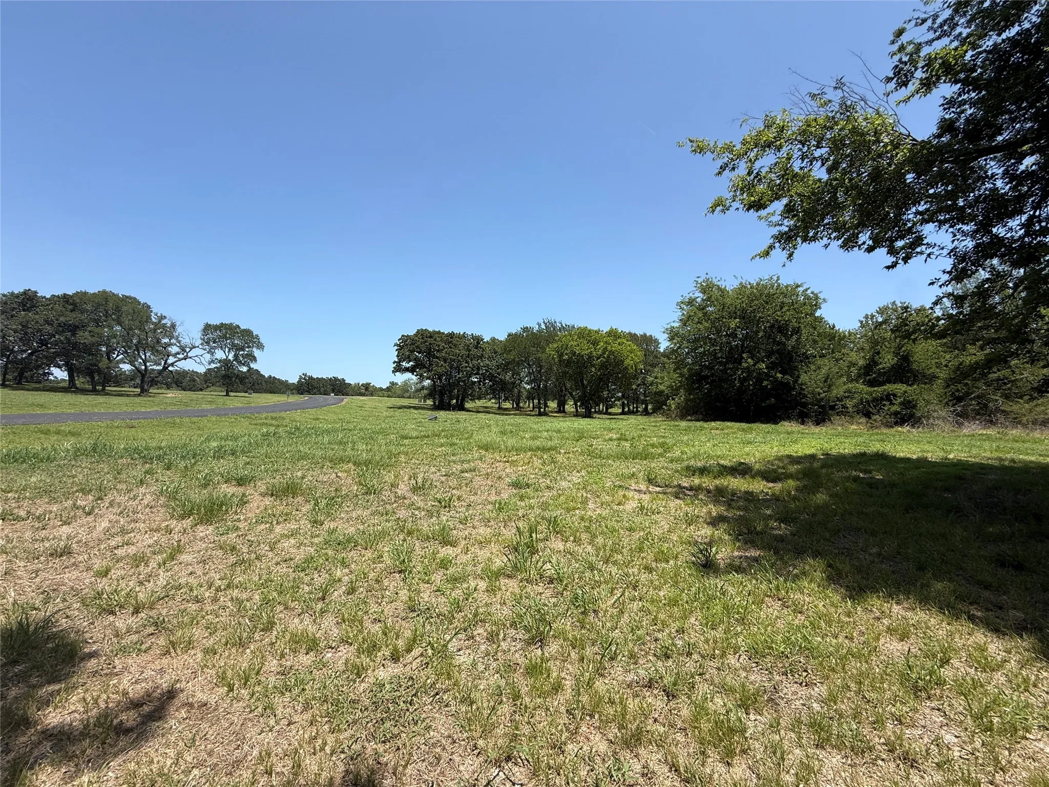 Peaceful countryside setting featuring scattered mature trees and level topography.