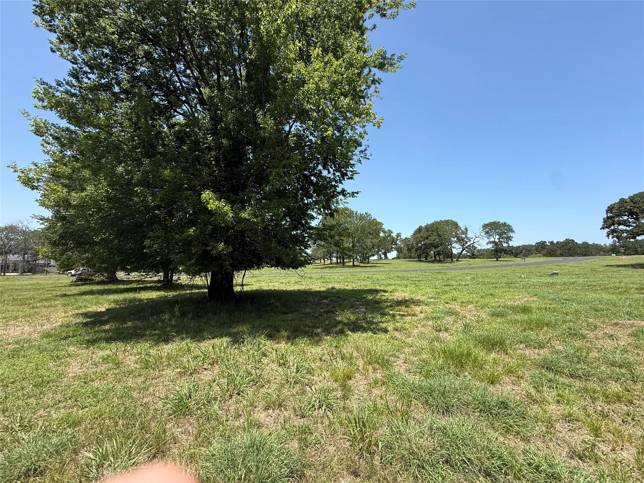 Spacious open lawn area ideal for designing a custom home or vacation lake retreat.