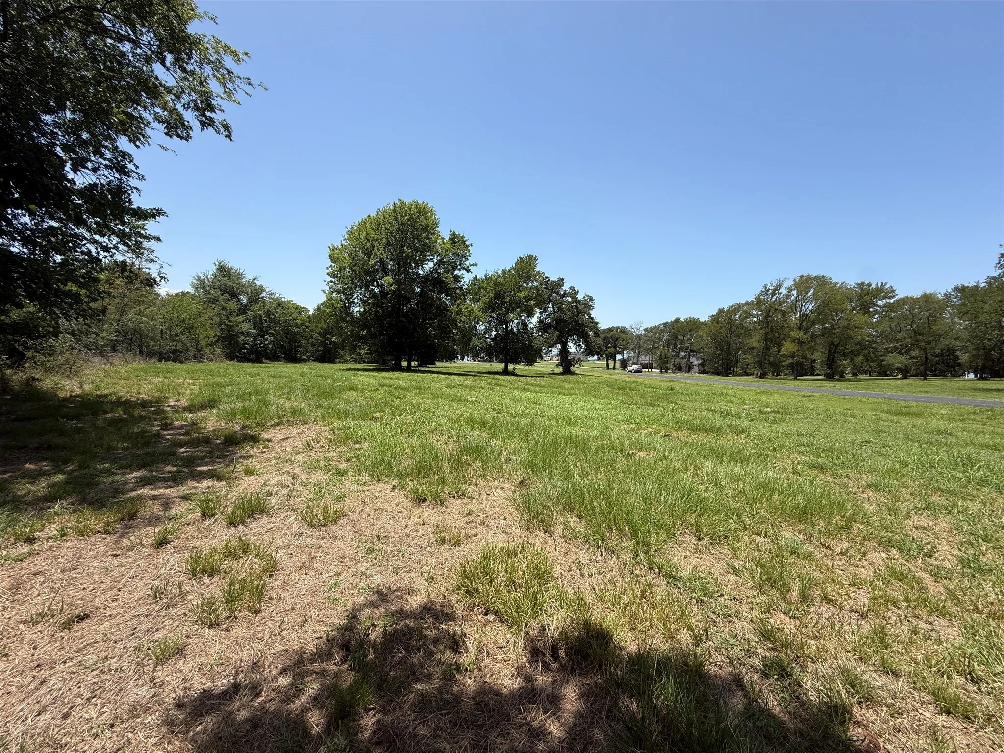 Lush green tree canopy providing privacy and scenic beauty on this 1.01-acre residential lot.