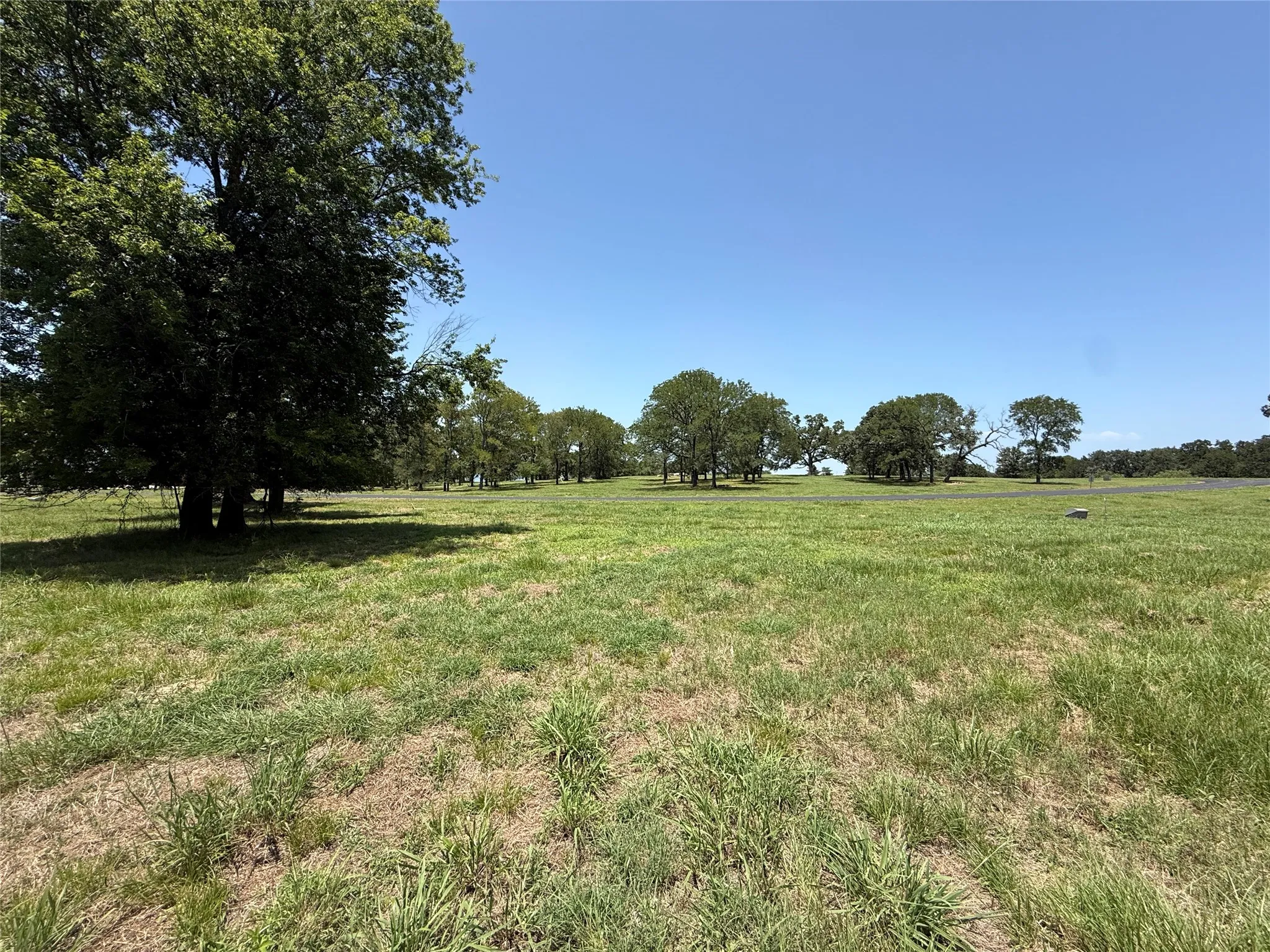 Expansive grassy layout surrounded by natural Texas countryside vegetation.