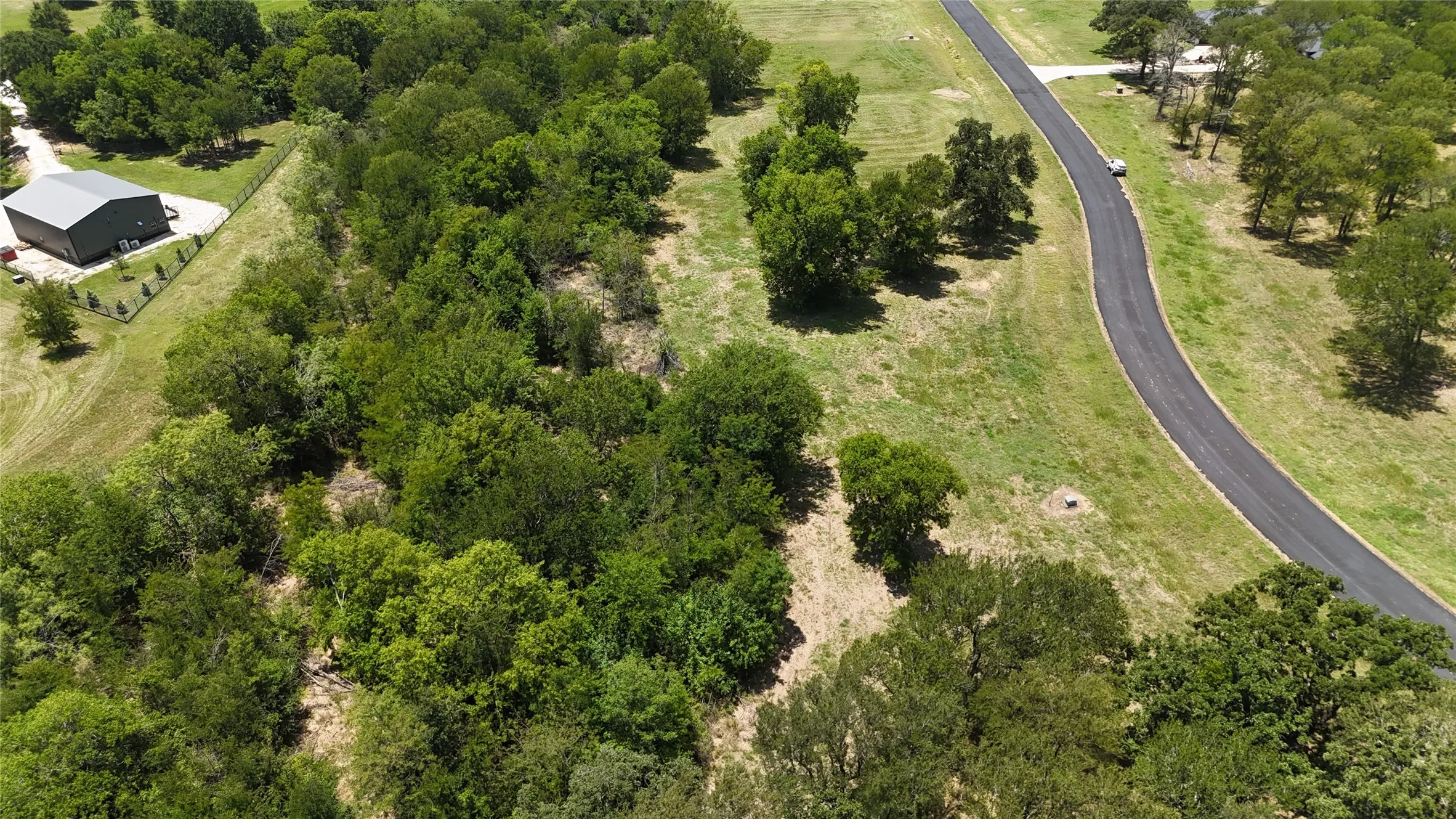 Thick tree cover ideal for preserving natural shade and wildlife habitats on property.