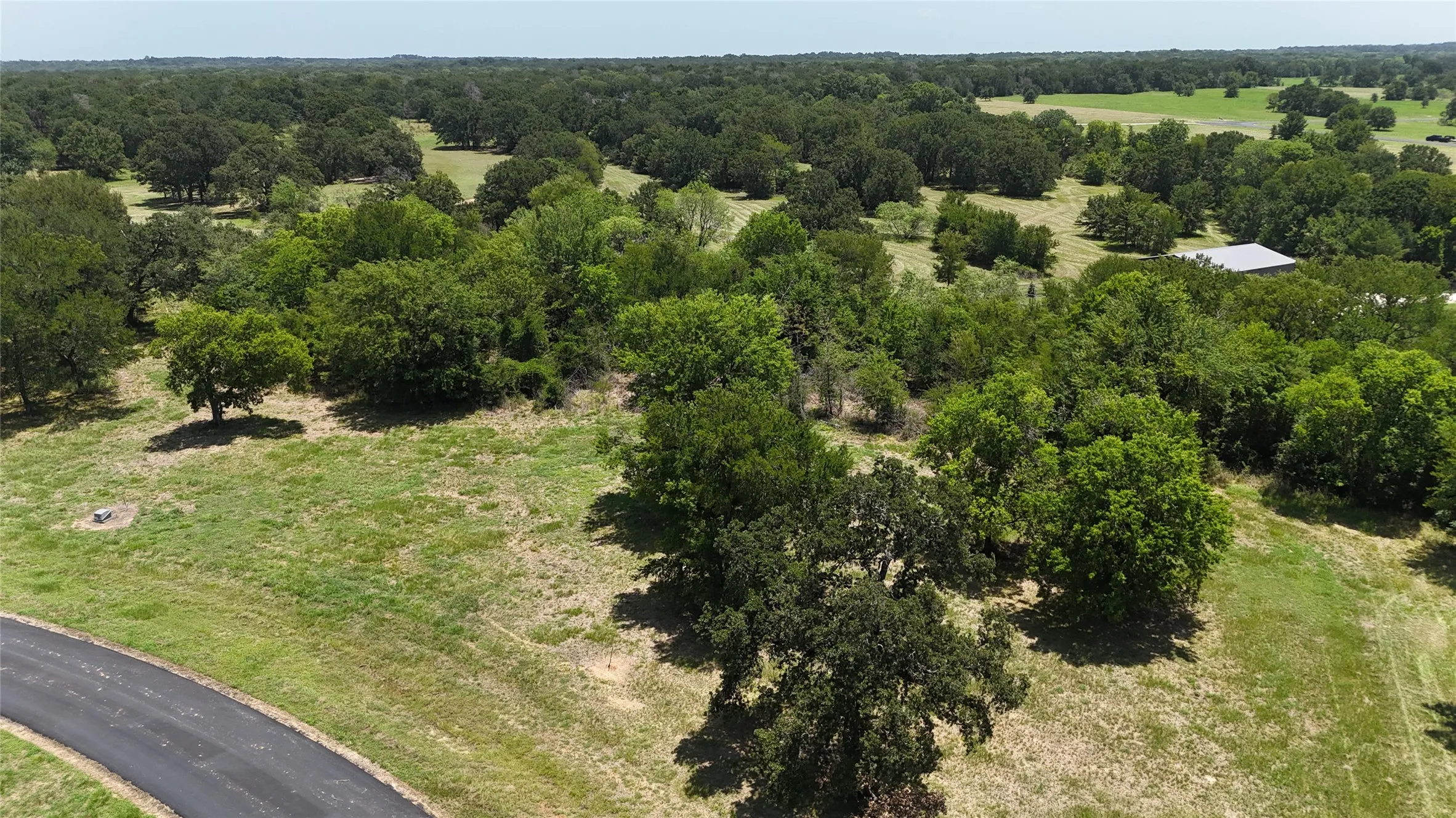 Naturally wooded backdrop ready to be tailored into private outdoor living space.