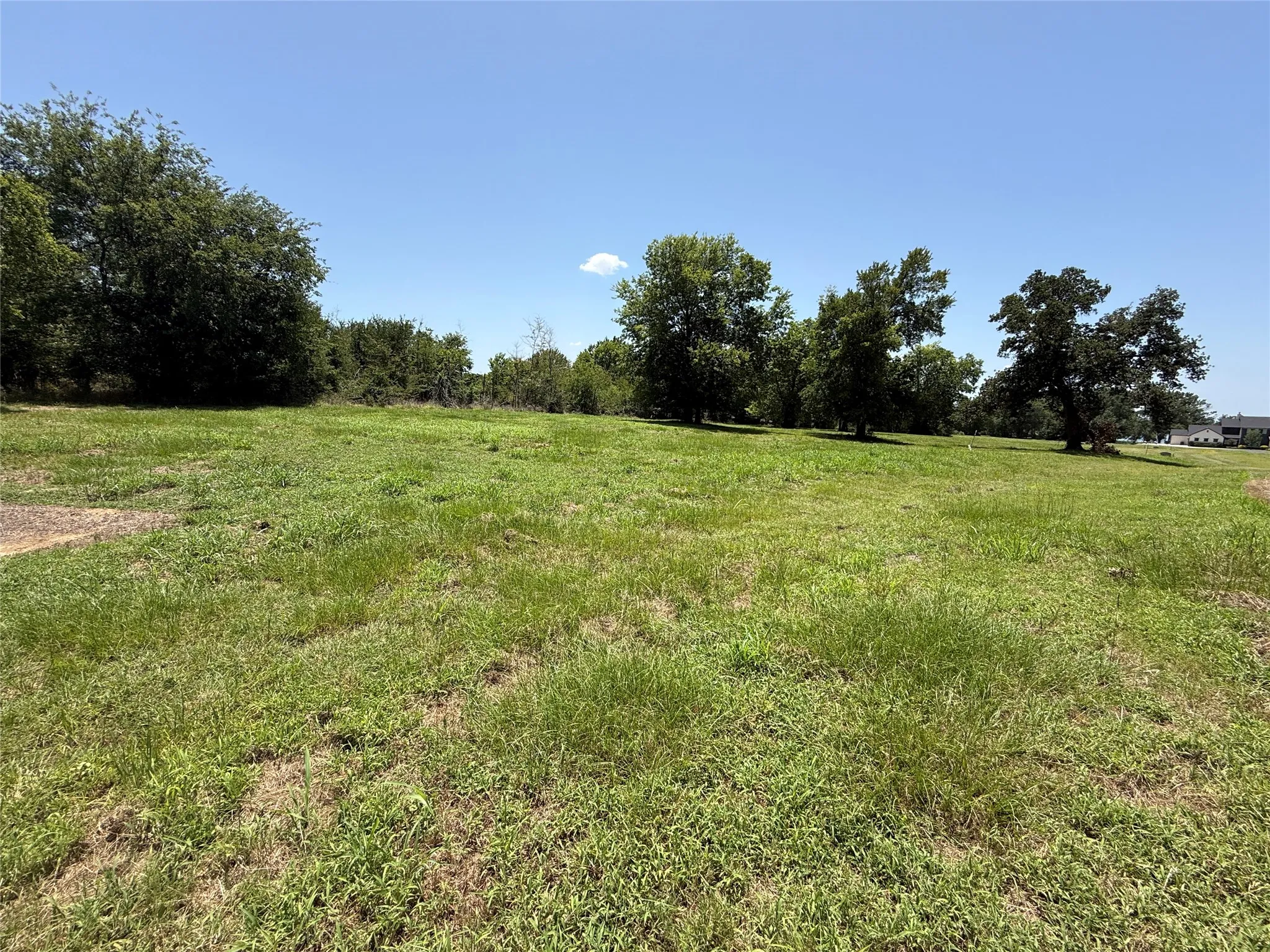 Sunlit view of the expansive lot highlighted by majestic Texas shade trees.