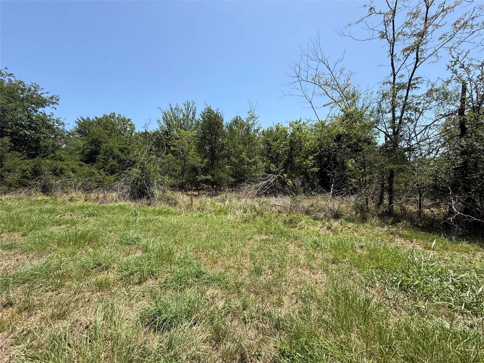 Natural tree line border offering enhanced privacy along the edge of the lot.